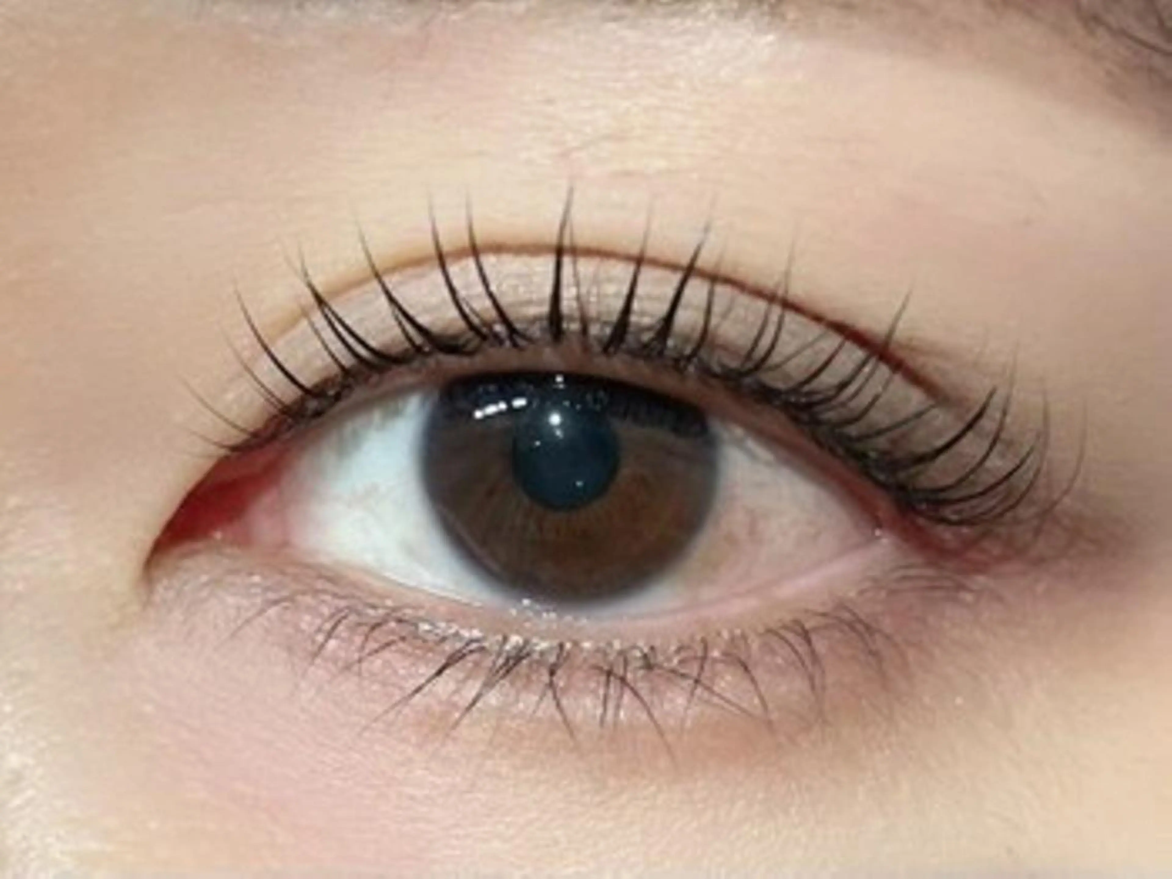 🌈当日予約限定🌈ケラチンラッシュリフト🌈の写真