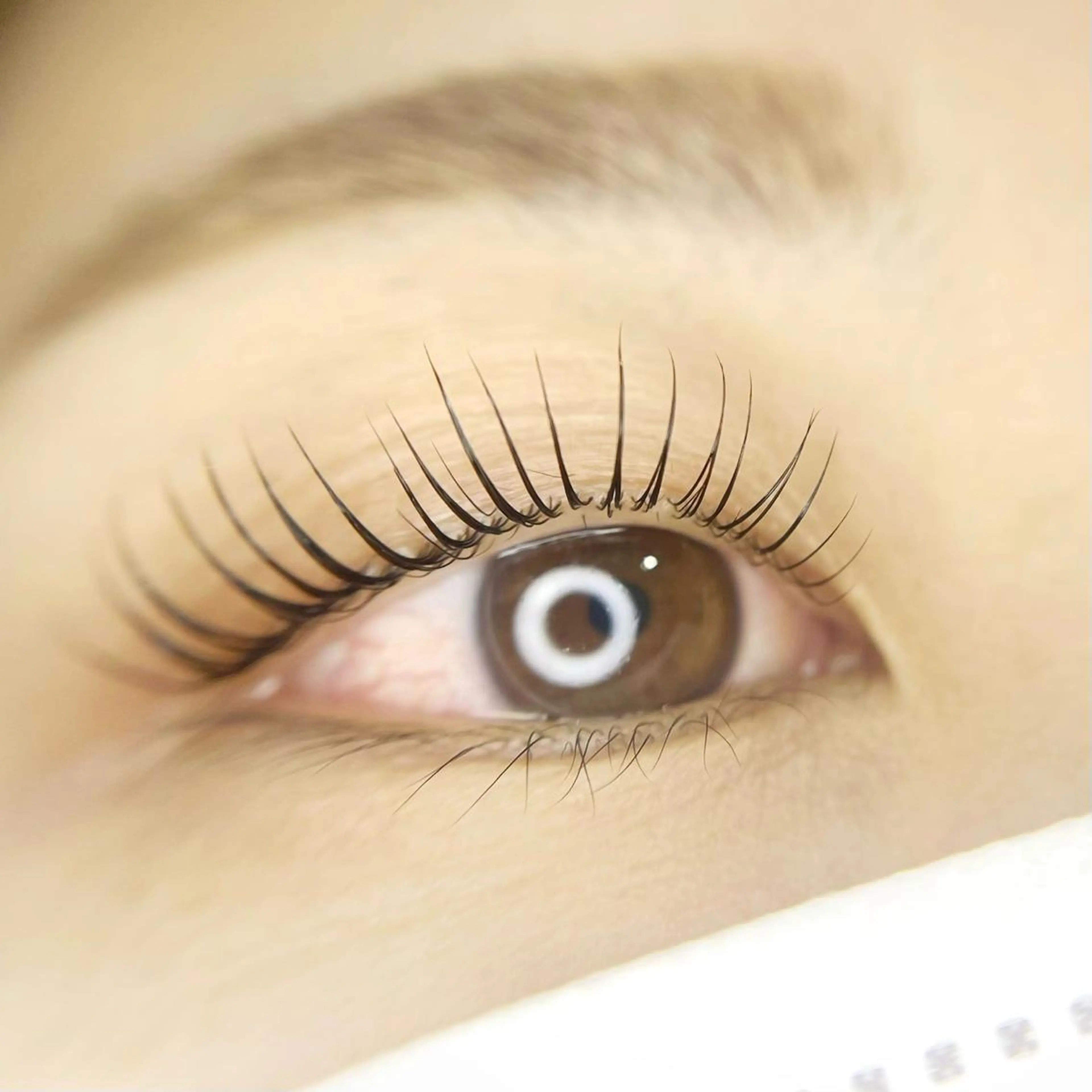 マツエク・マツパ ecru. eyelashのマツエク・マツパデザイン