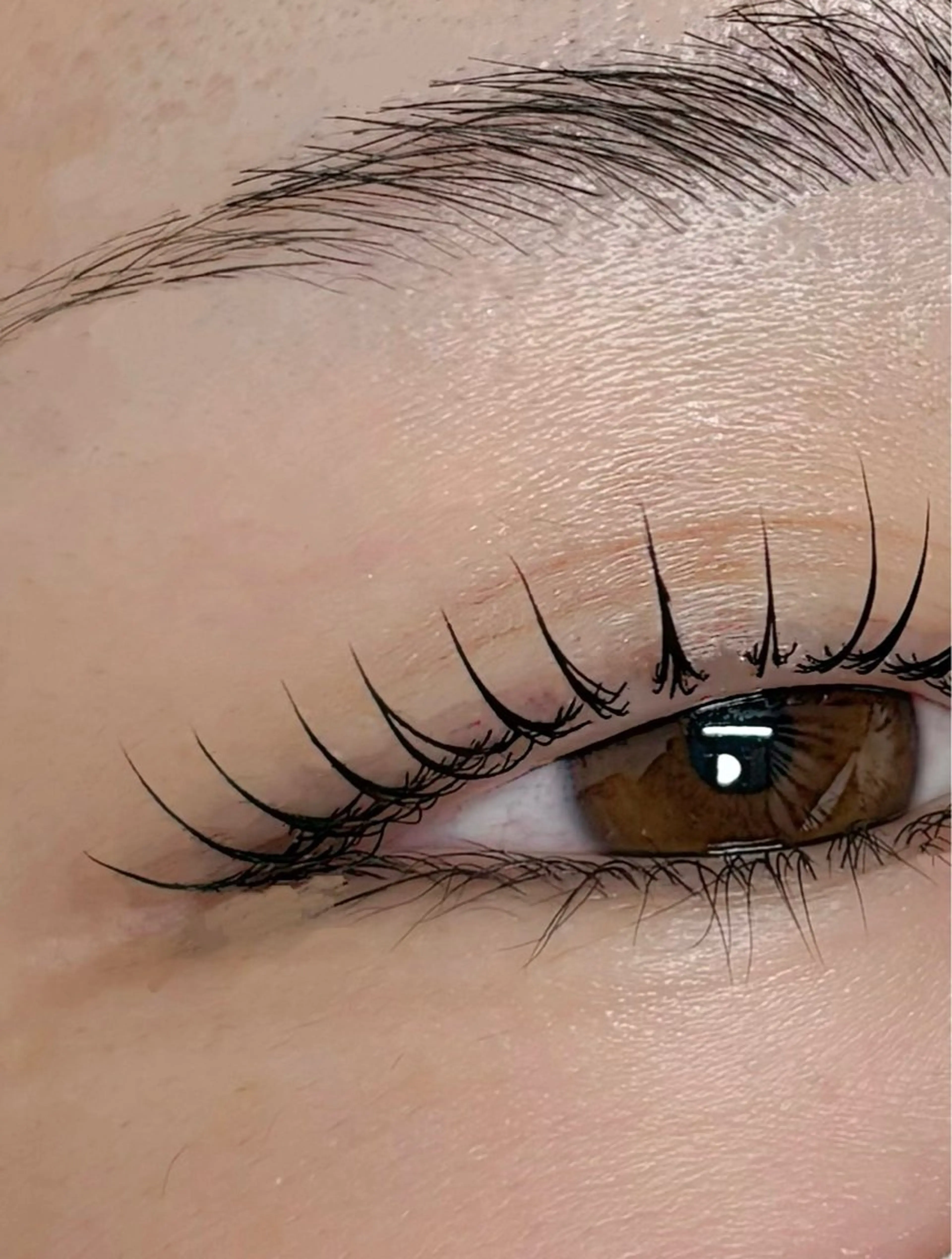 マツエク・マツパ マツパ 垢抜け眉WAX専門 ちゅるんまつげ|鎌倉の眉毛・アイブロウイメージ