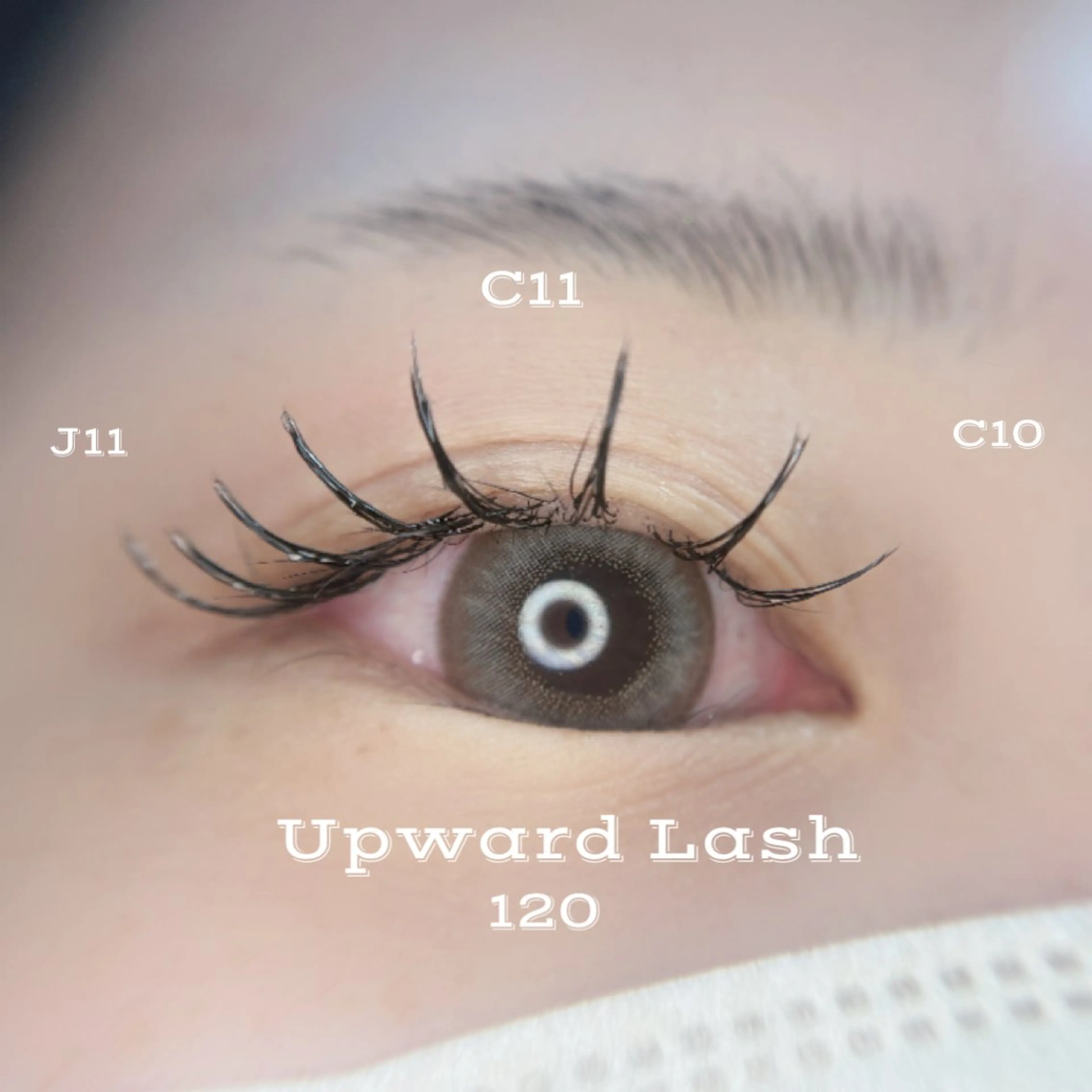 マツエク・マツパ アップワードラッシュ マツエク 🦋MaaZlash 南流山FUKA🤍のマツエク・マツパデザイン