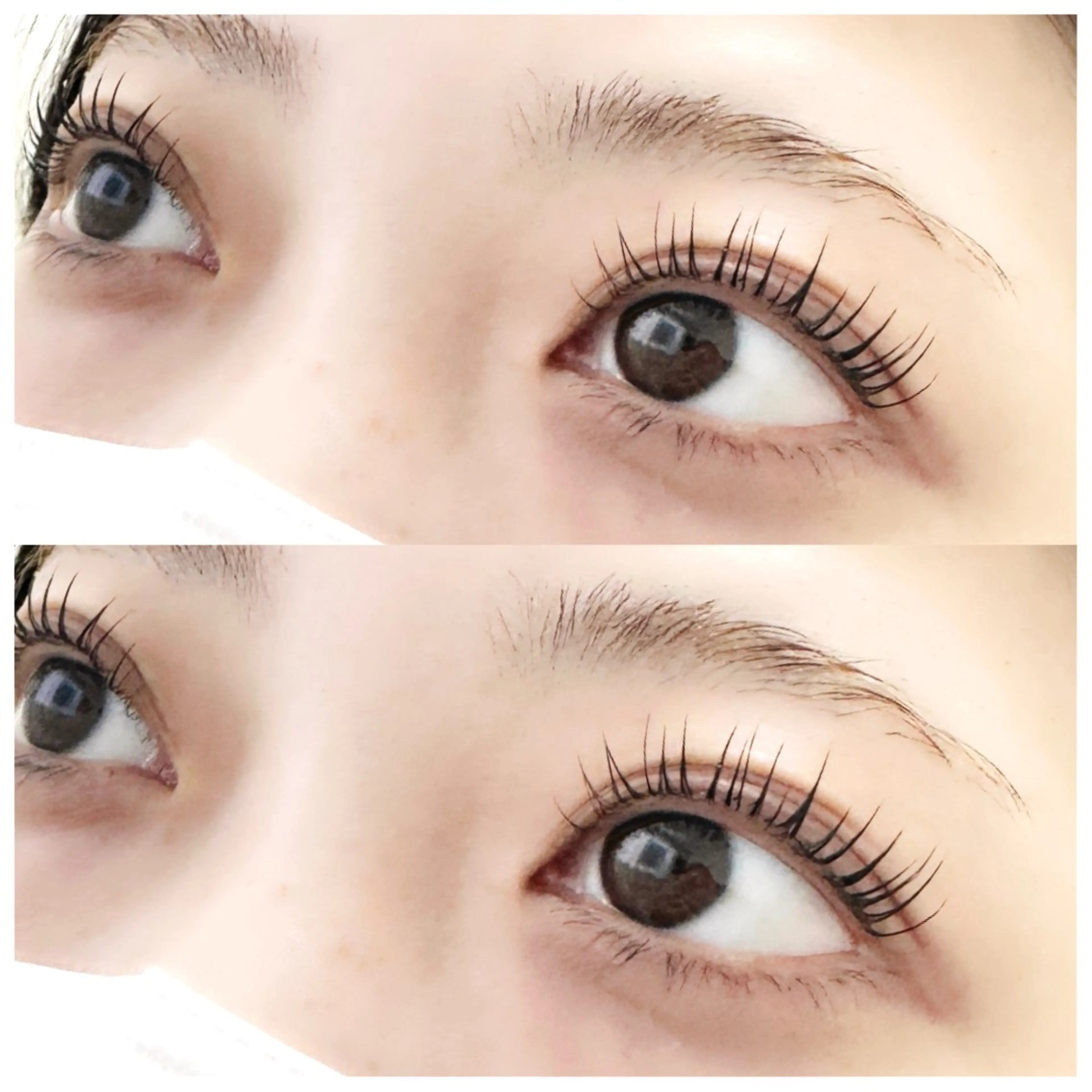 《13.14日限定》💐まつ毛パーマorパリジェヌ💐コーティング付きの写真