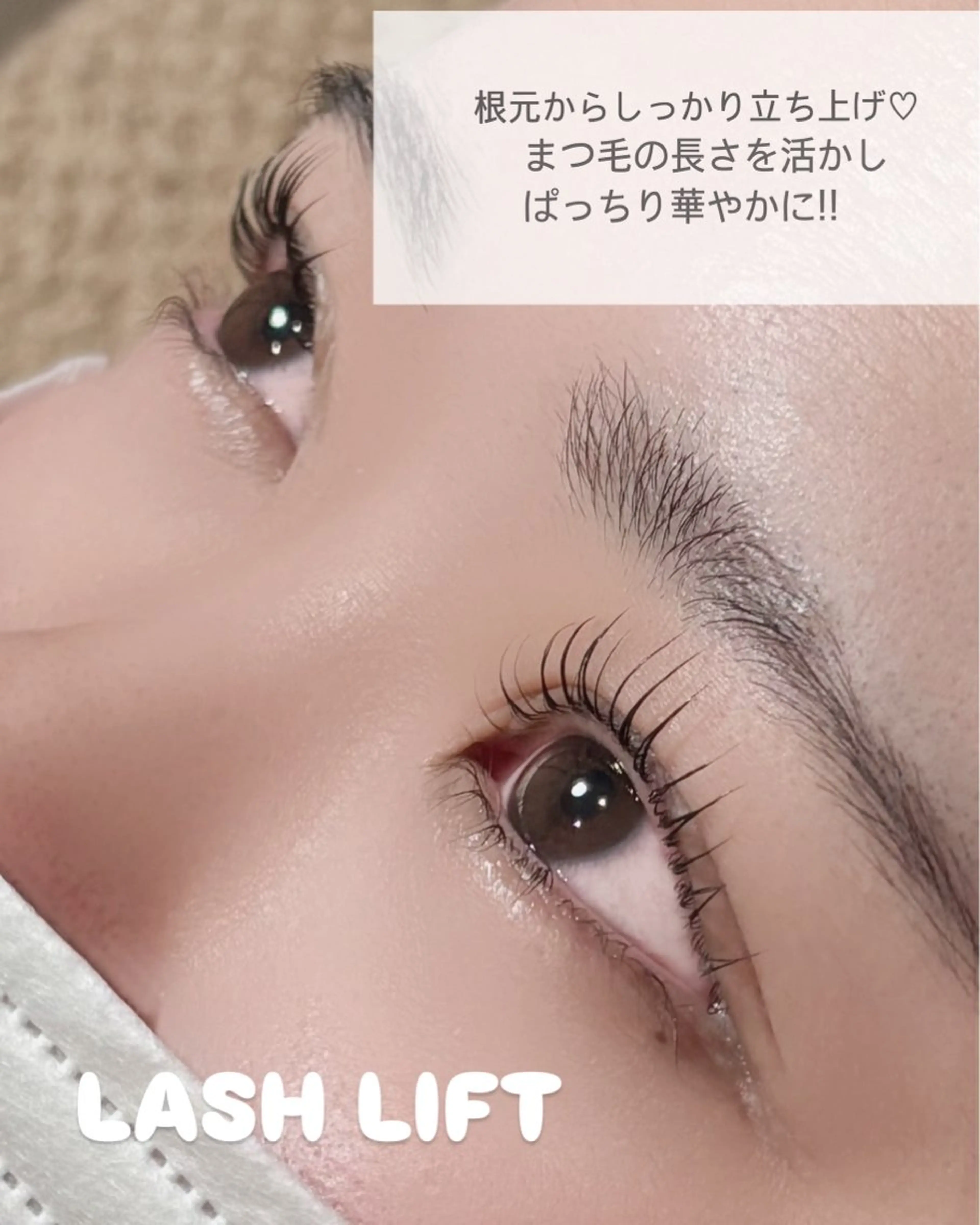 《まつ毛》ラッシュリフトパーマの写真