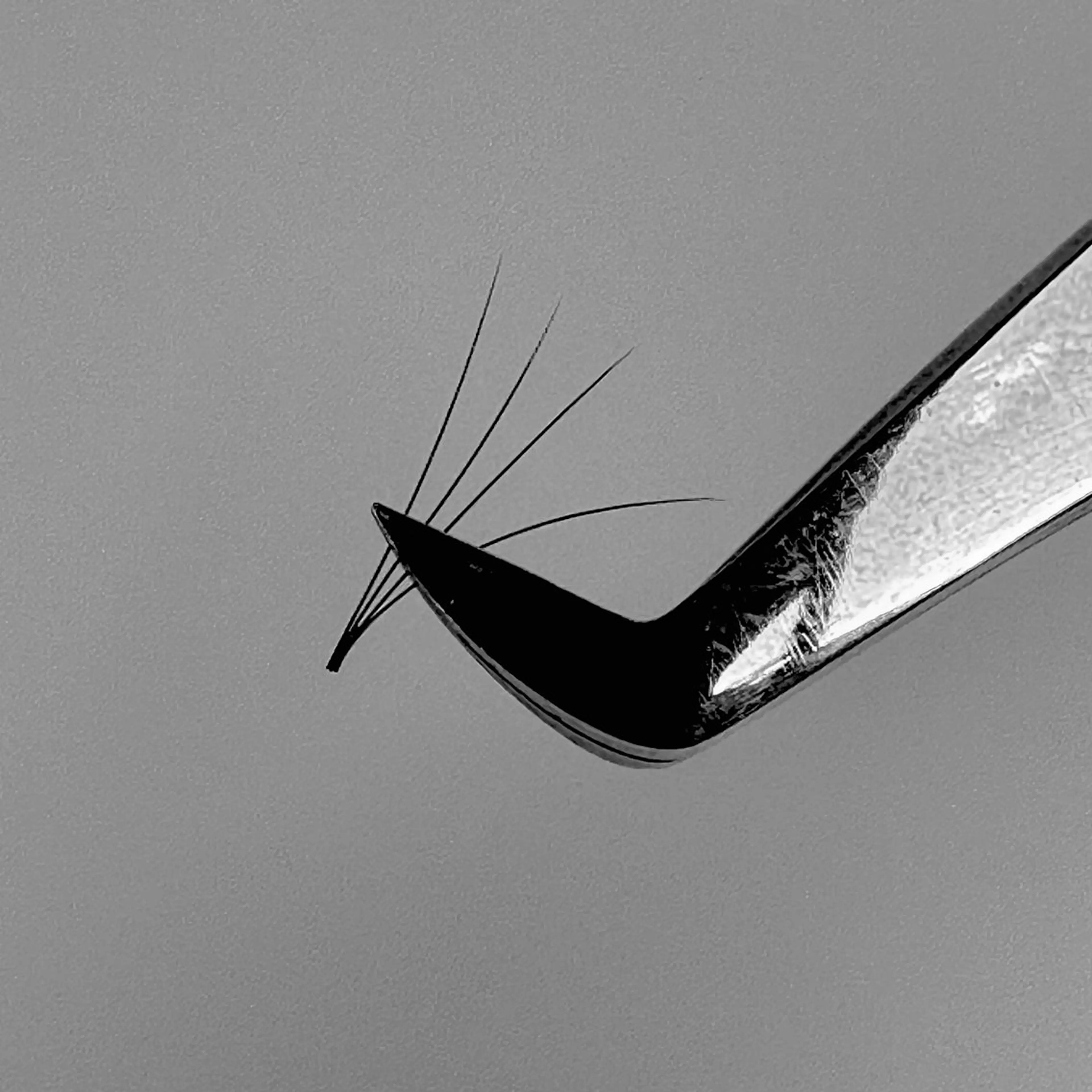 マツエク・マツパ マツエク komatsu eyelash恵比寿のマツエク・マツパデザイン