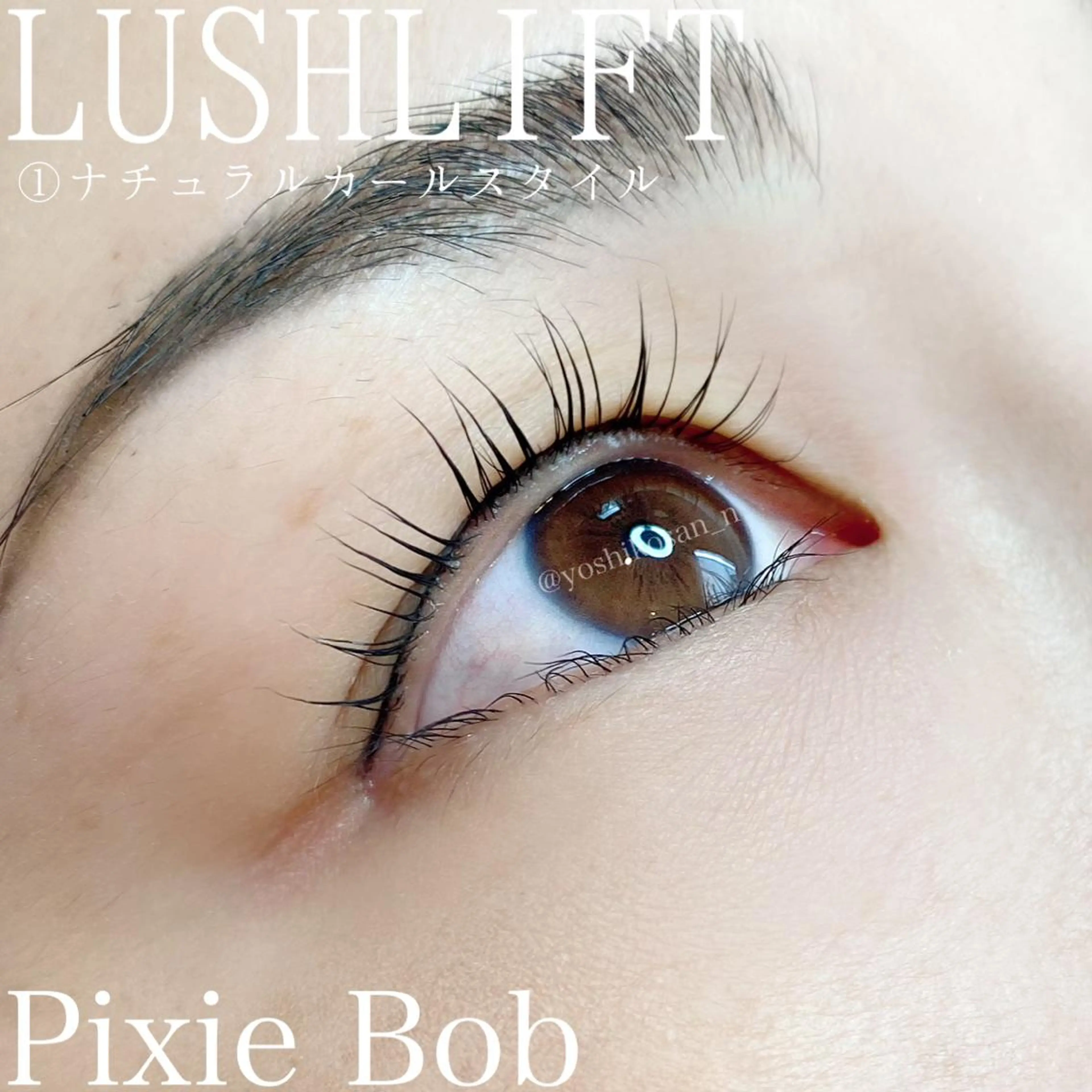 マツエク・マツパ ナチュラル Pixie Bob 🐈‍⬛　位田のマツエク・マツパデザイン