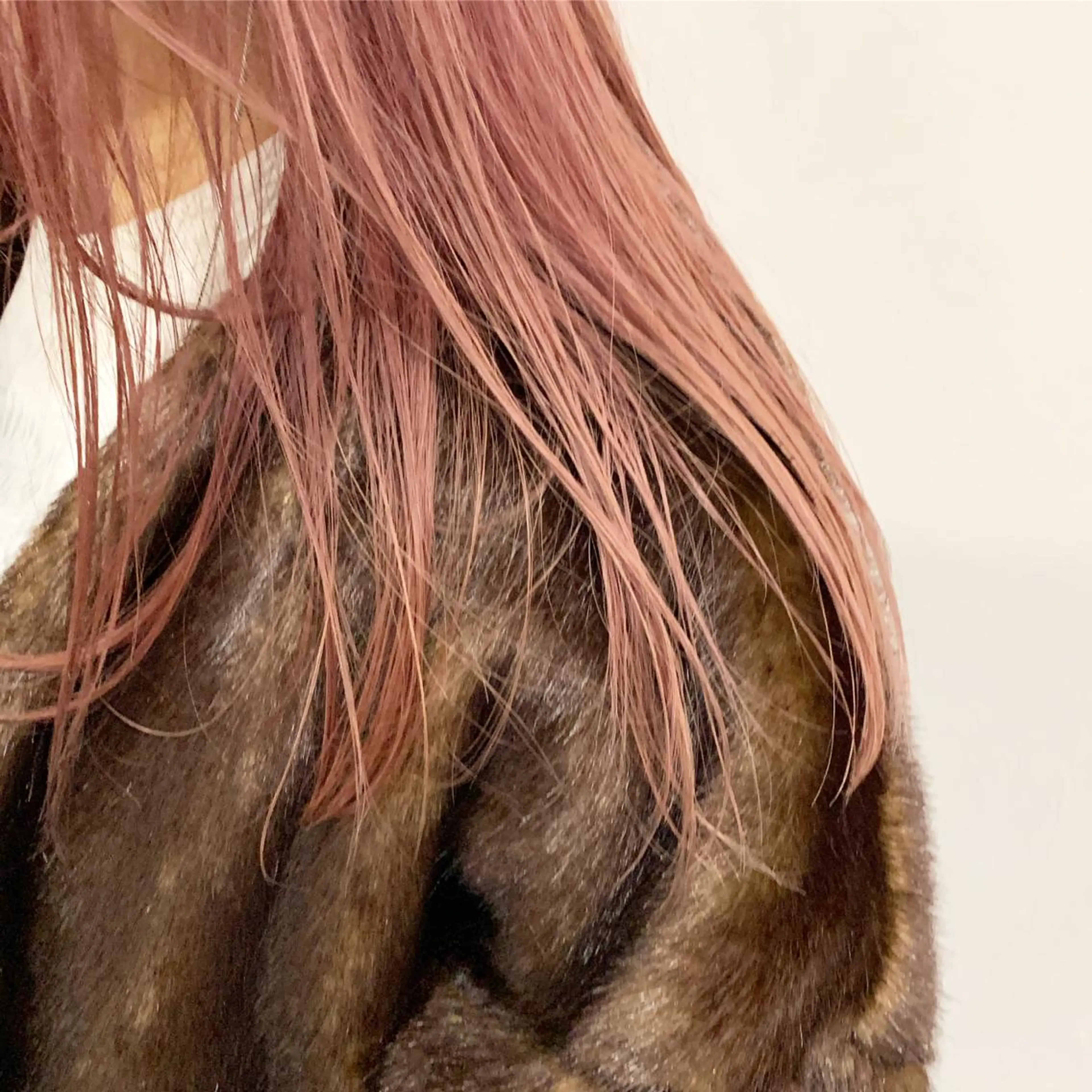 ミディアム カラー LORENAO所属・柔らかいカラー🎀 rinaのヘアスタイル