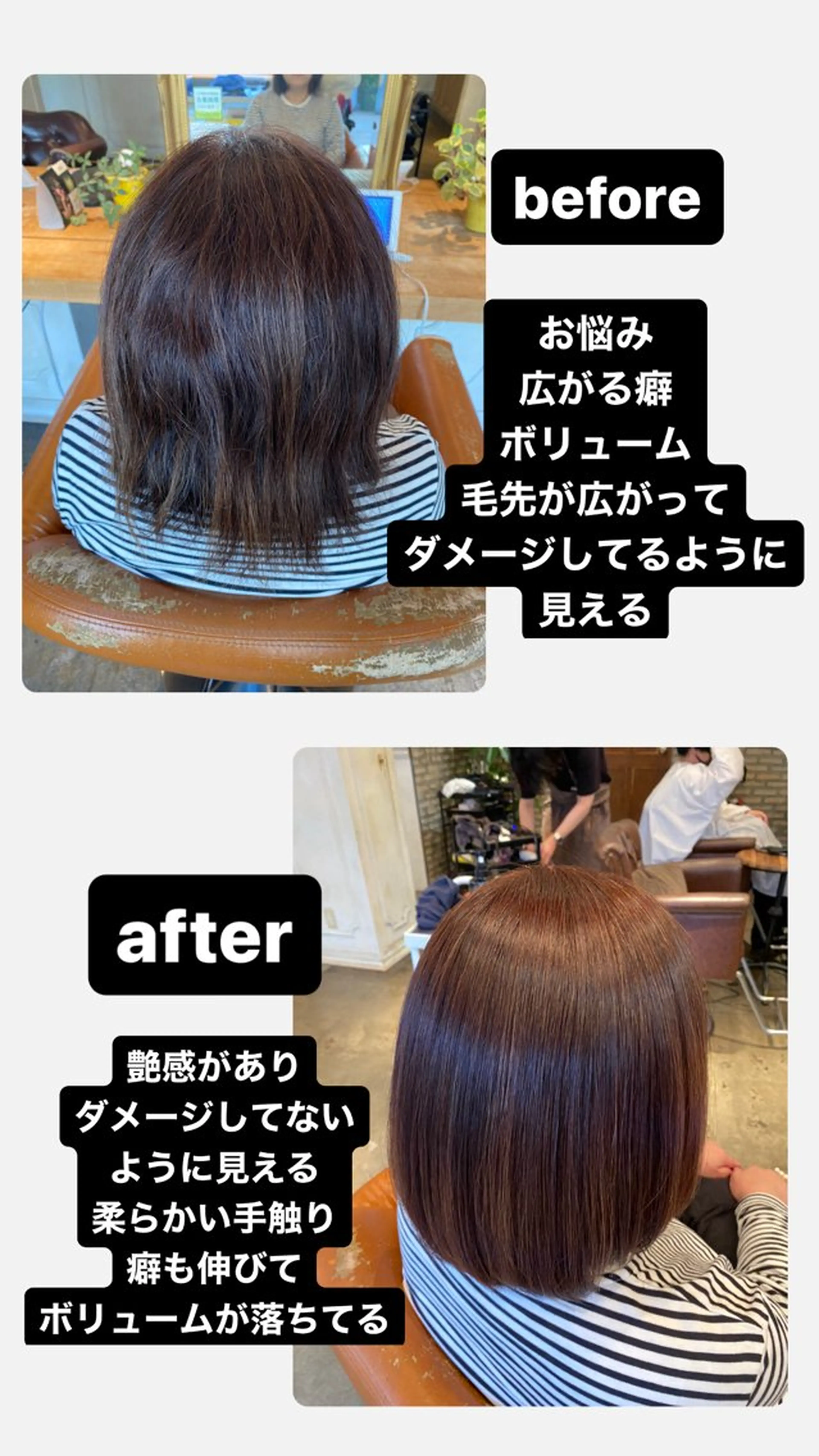 ショート パーマ 髪質改善&縮毛矯正 カット/soyaのヘアスタイル
