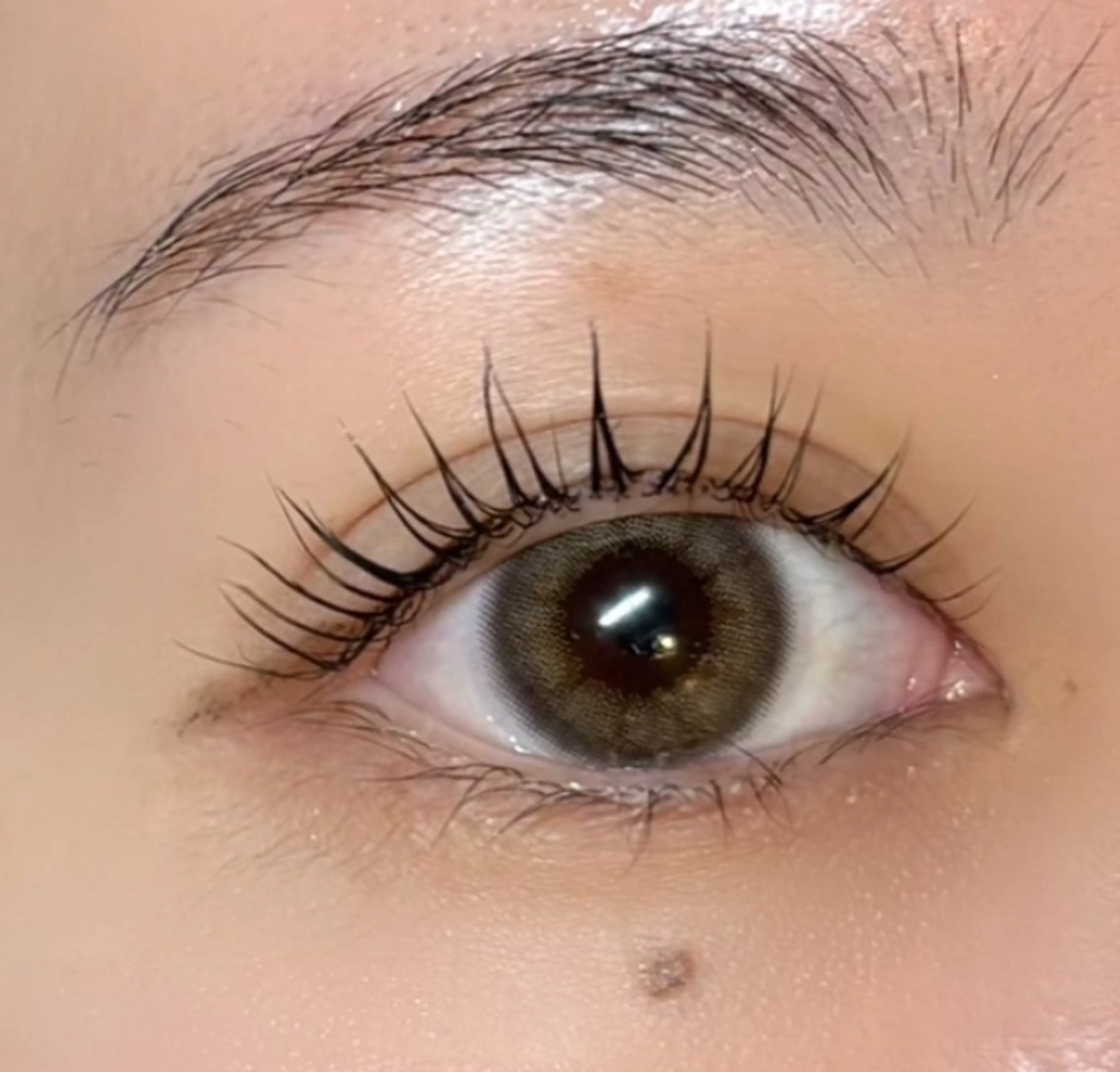 マツエク・マツパ jessica🪽 yoshida🩰のマツエク・マツパデザイン