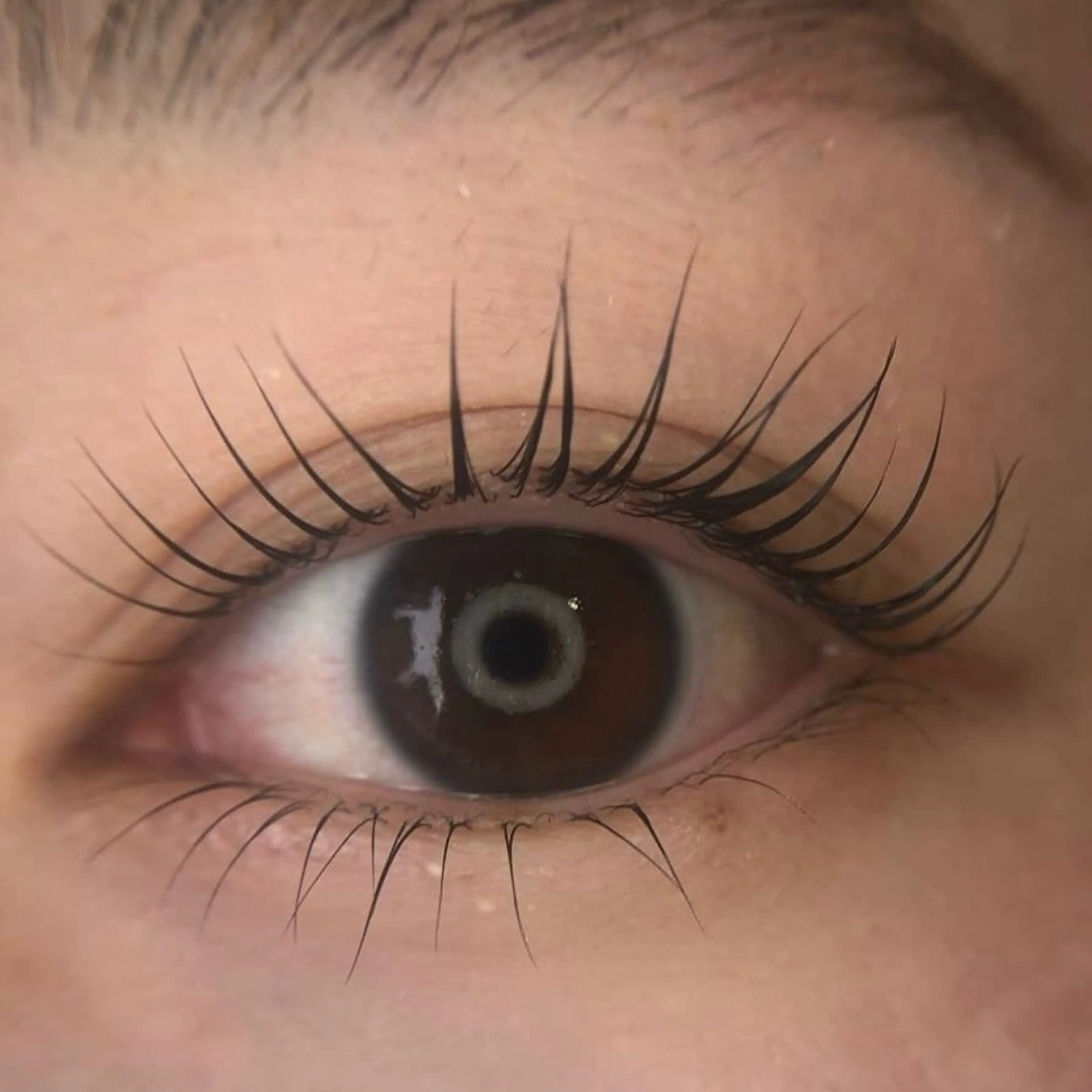 マツエク・マツパ メゾンドシャルム NISHIKAWAのマツエク・マツパデザイン