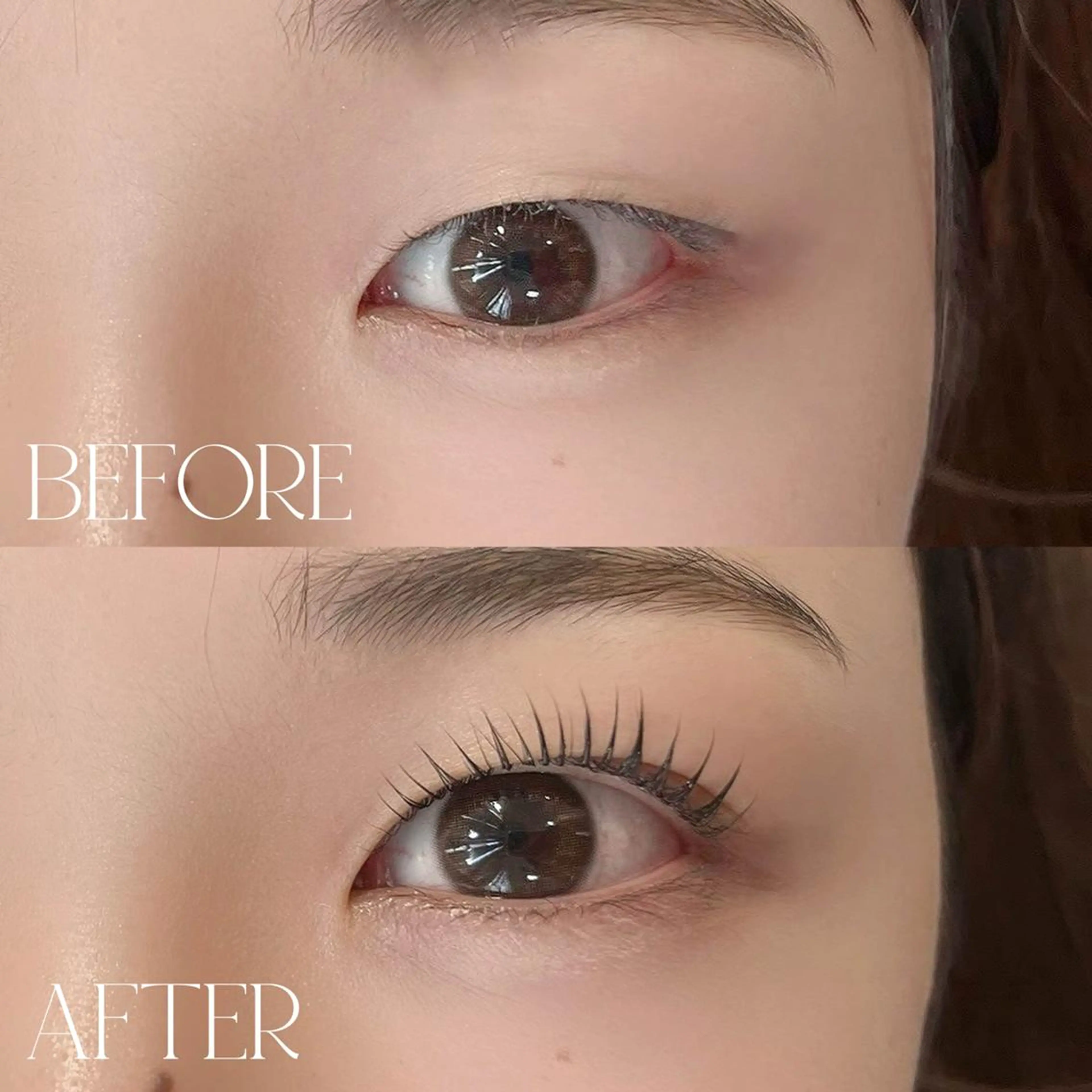 マツエク・マツパ Cカール まつげパーマ専門店 シャルナ 上野店のマツエク・マツパデザイン