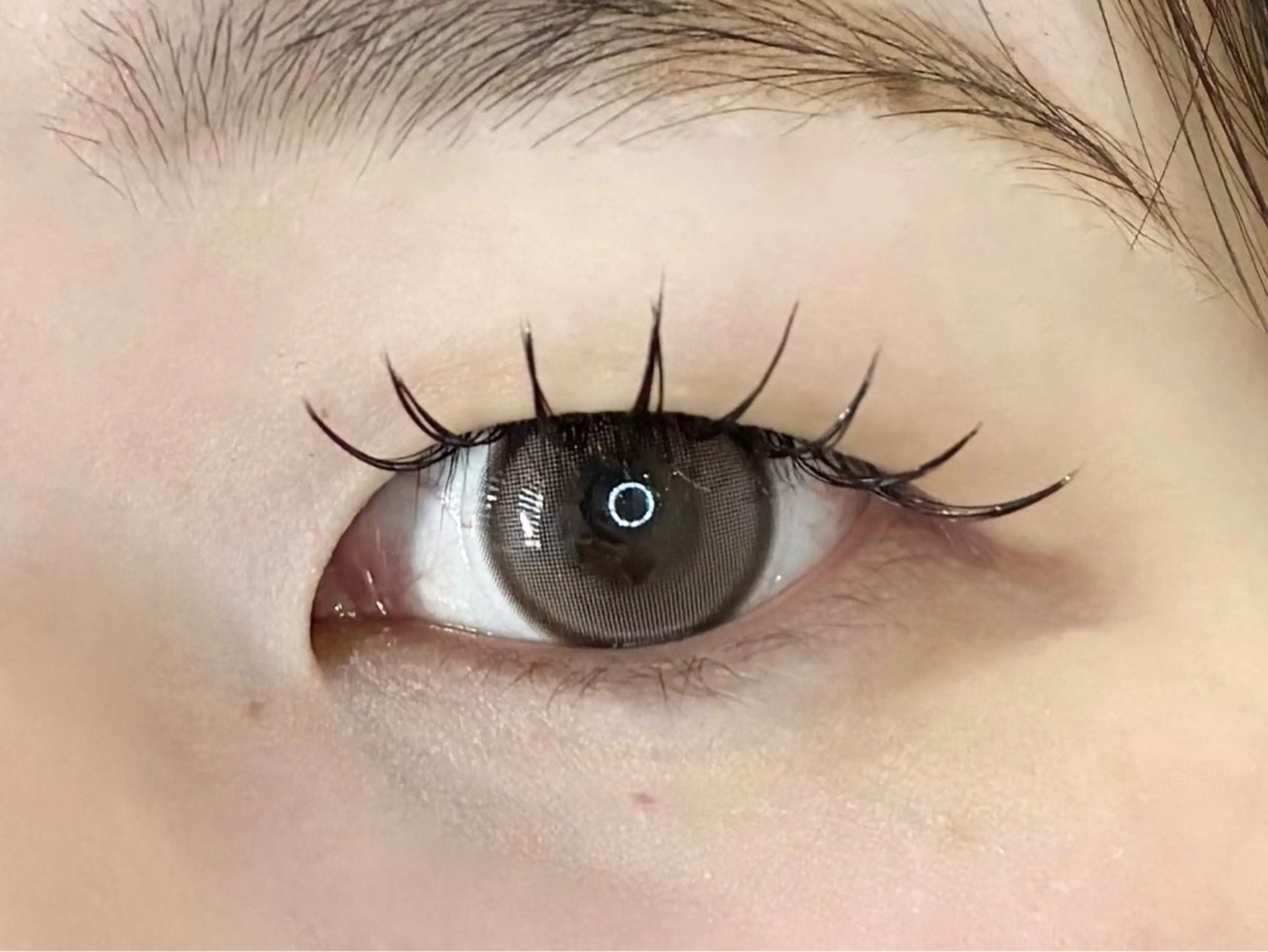 マツエク・マツパ マツエク LEDエクステ専門店 Fedis 京橋のマツエク・マツパデザイン