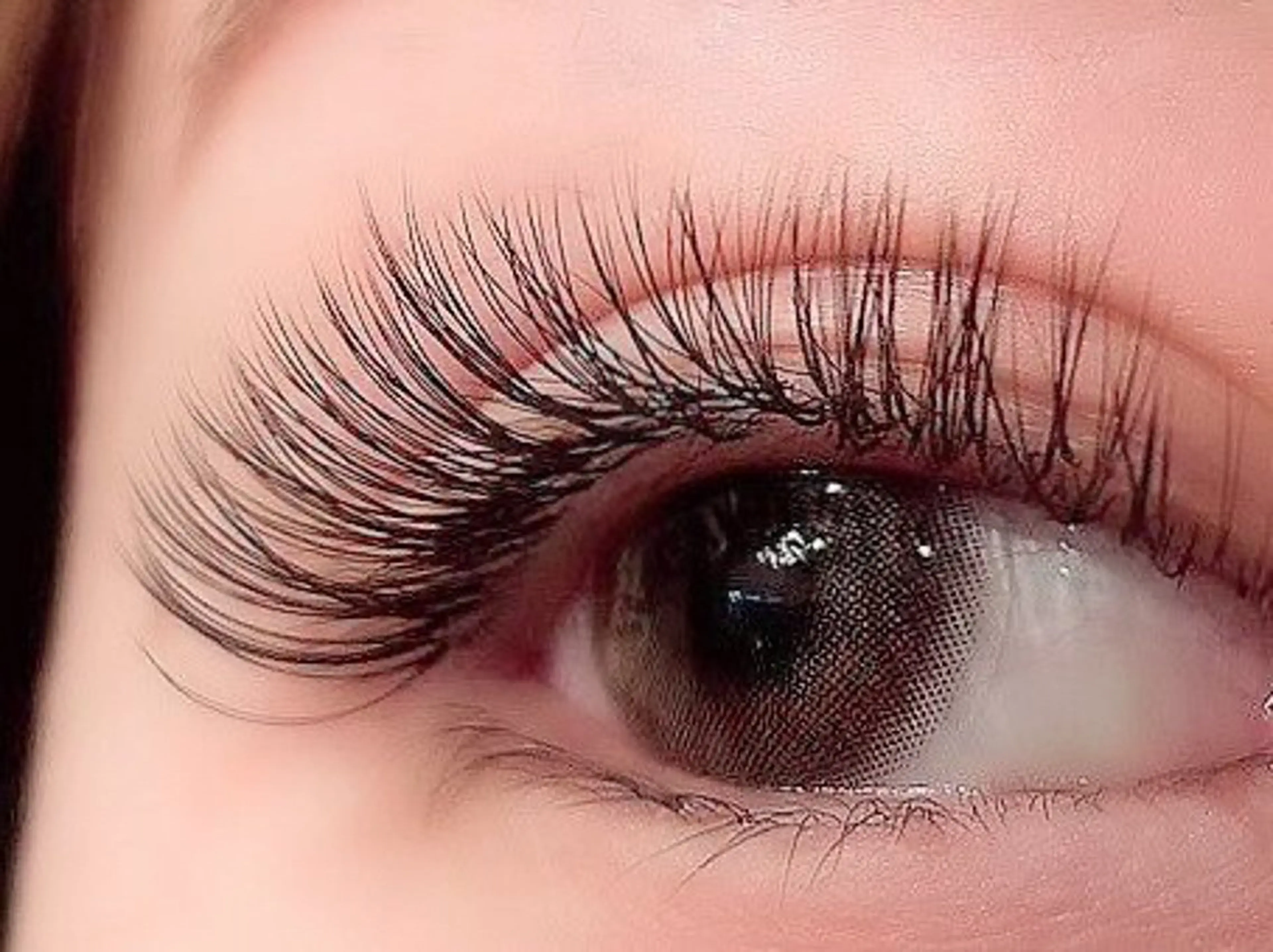 ３Ｄボリュームラッシュ３００本／１００束の写真