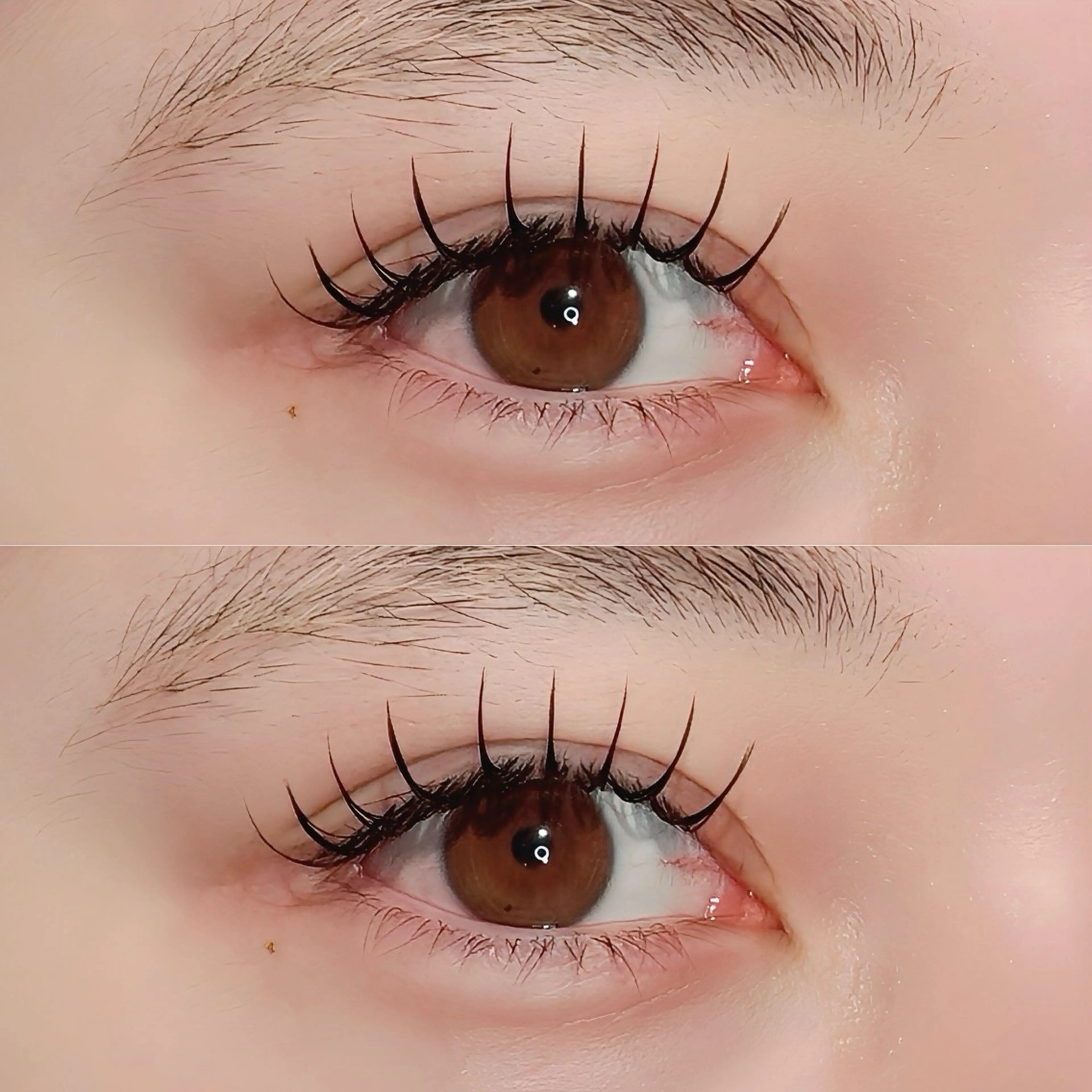 マツエク・マツパ マツエク fein.aoi🎀 🤍のマツエク・マツパデザイン