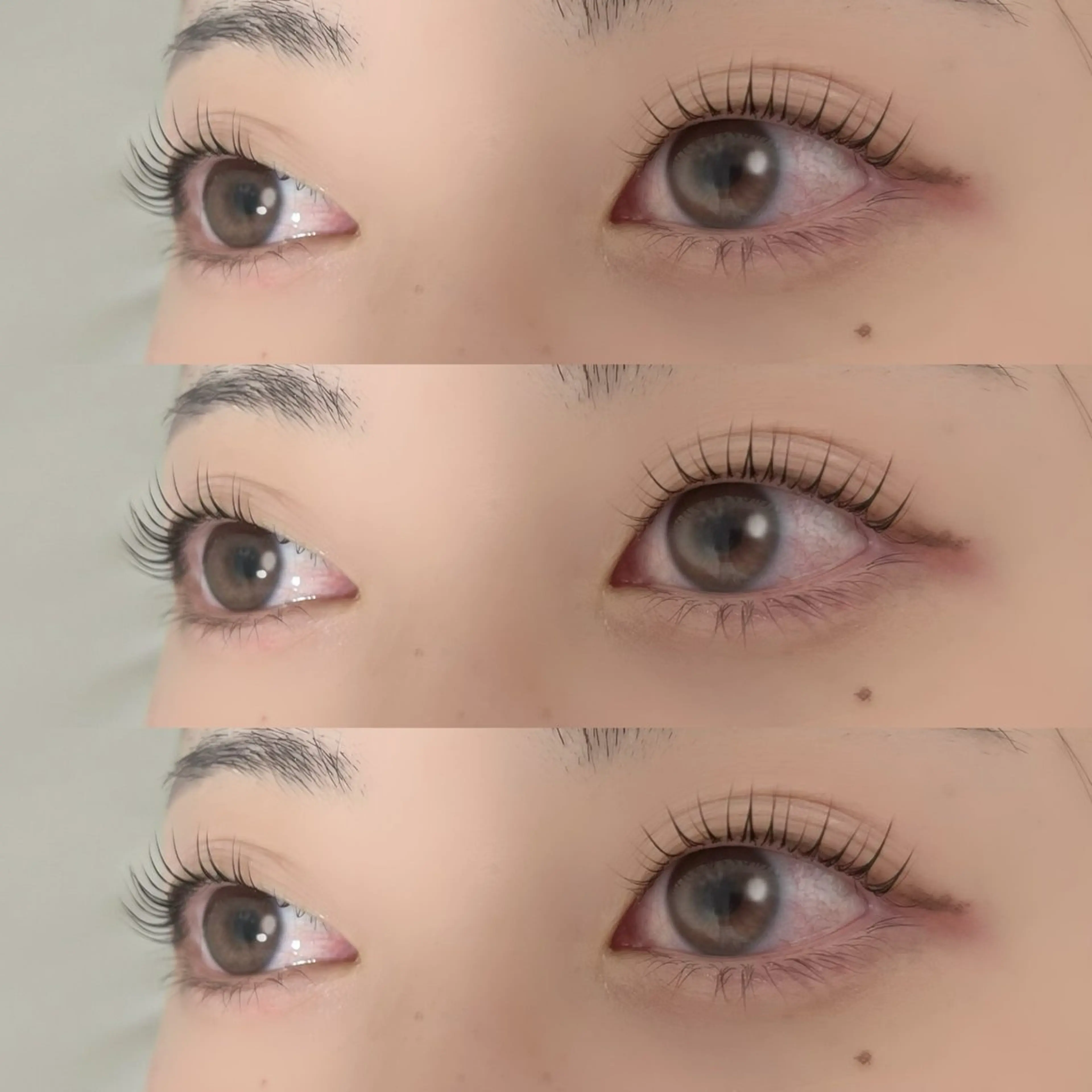 ラッシュリフト【エクステオフあり】の写真