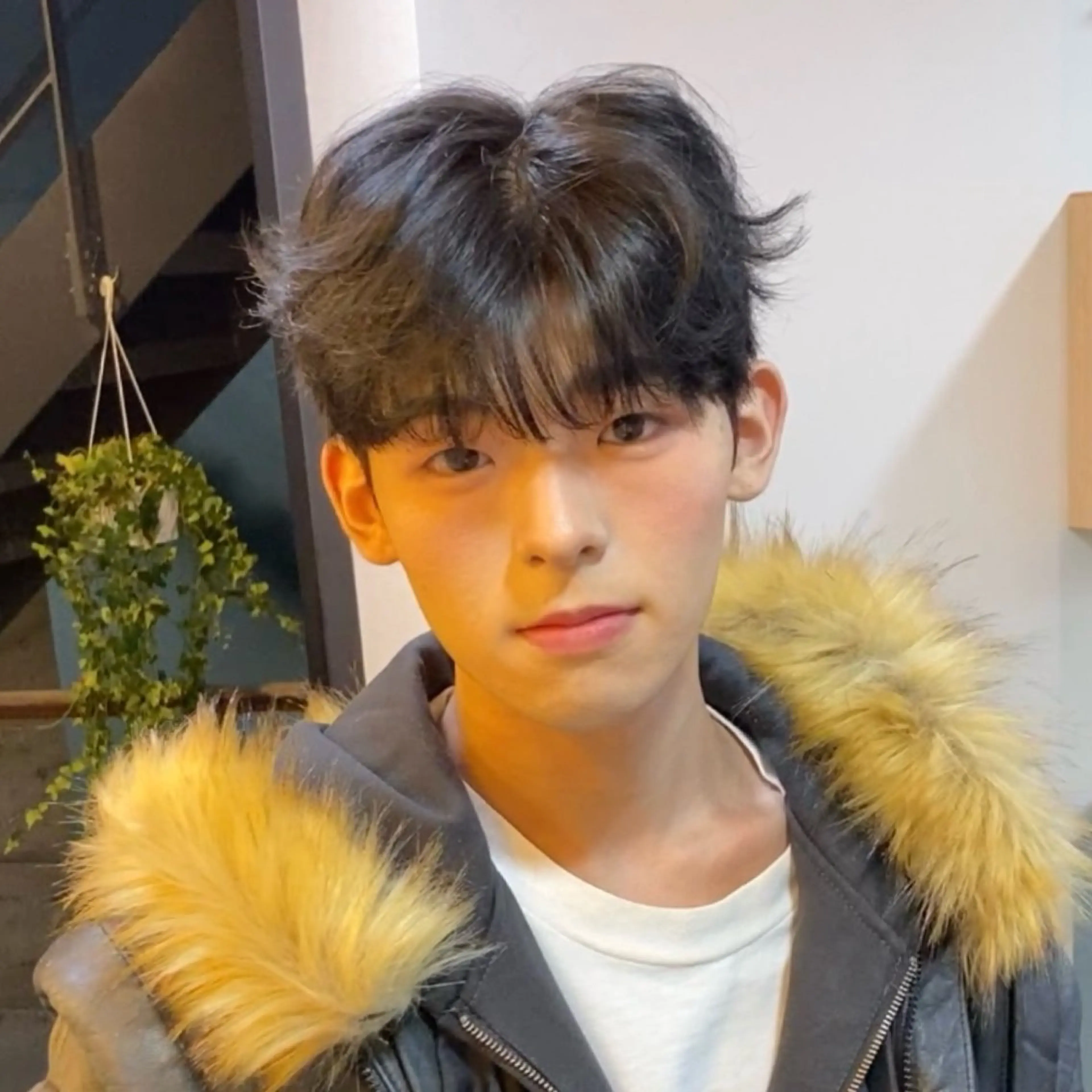 パーマ メンズ gunhee Tokyo所属・🇰🇷韓国ヘア /wooju🇰🇷のヘアスタイル