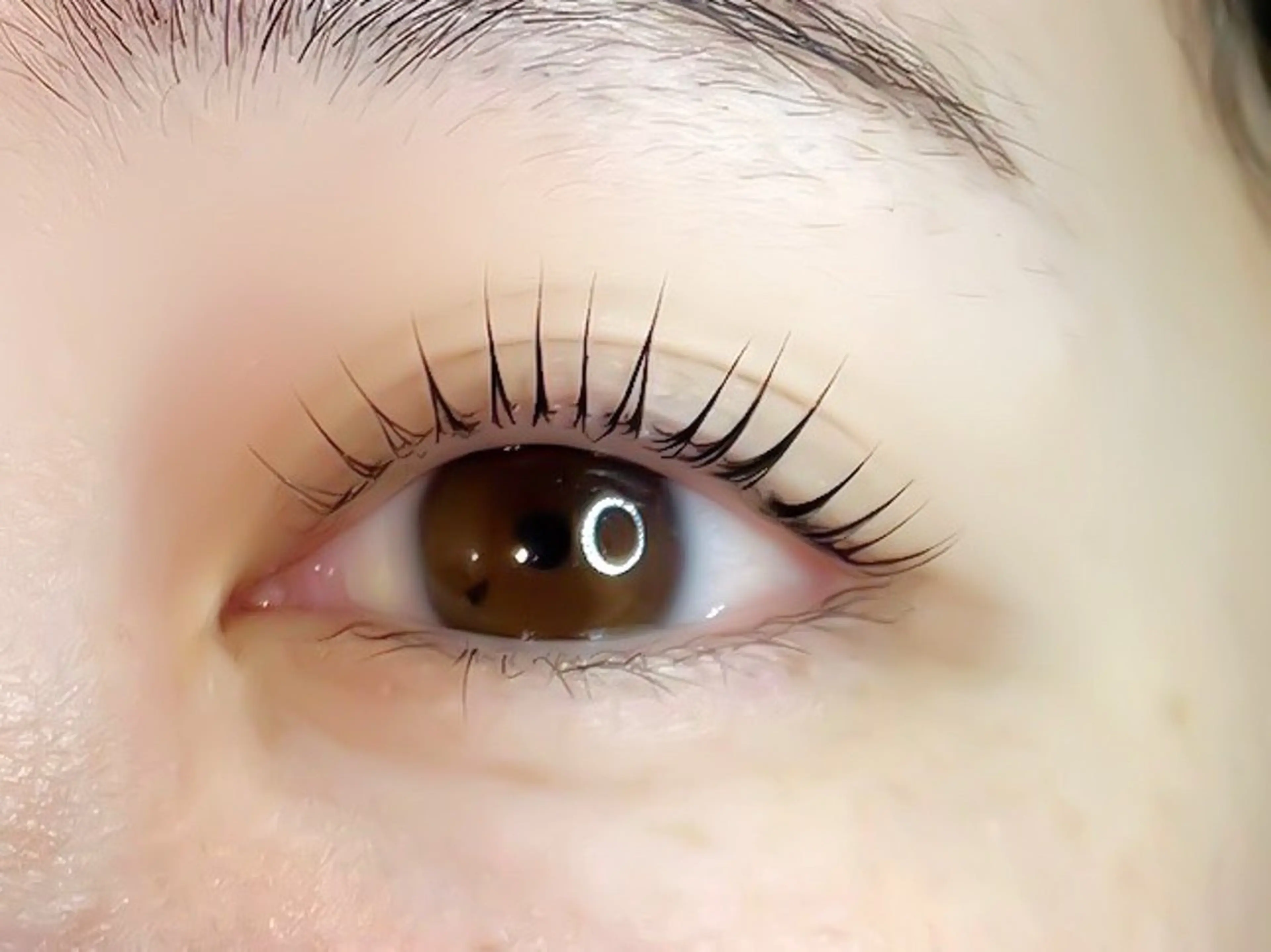 マツエク・マツパ koa【  コア⠀】所属・Koa🦋ma ho🦋のその他イメージ