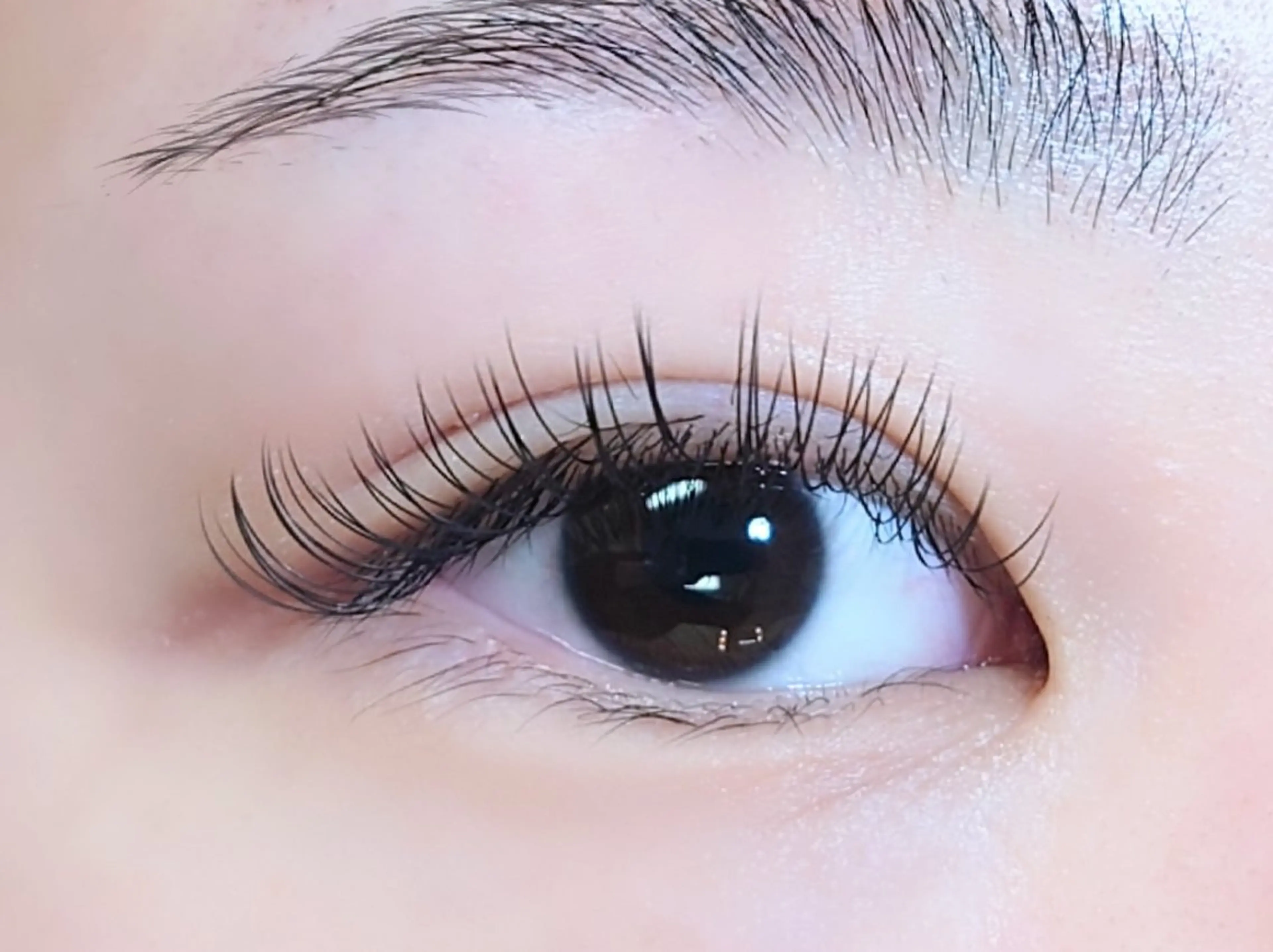 マツエク・マツパ Dカール フラットラッシュ 目尻長め マツエク joie ange 難波店　斎藤のマツエク・マツパデザイン