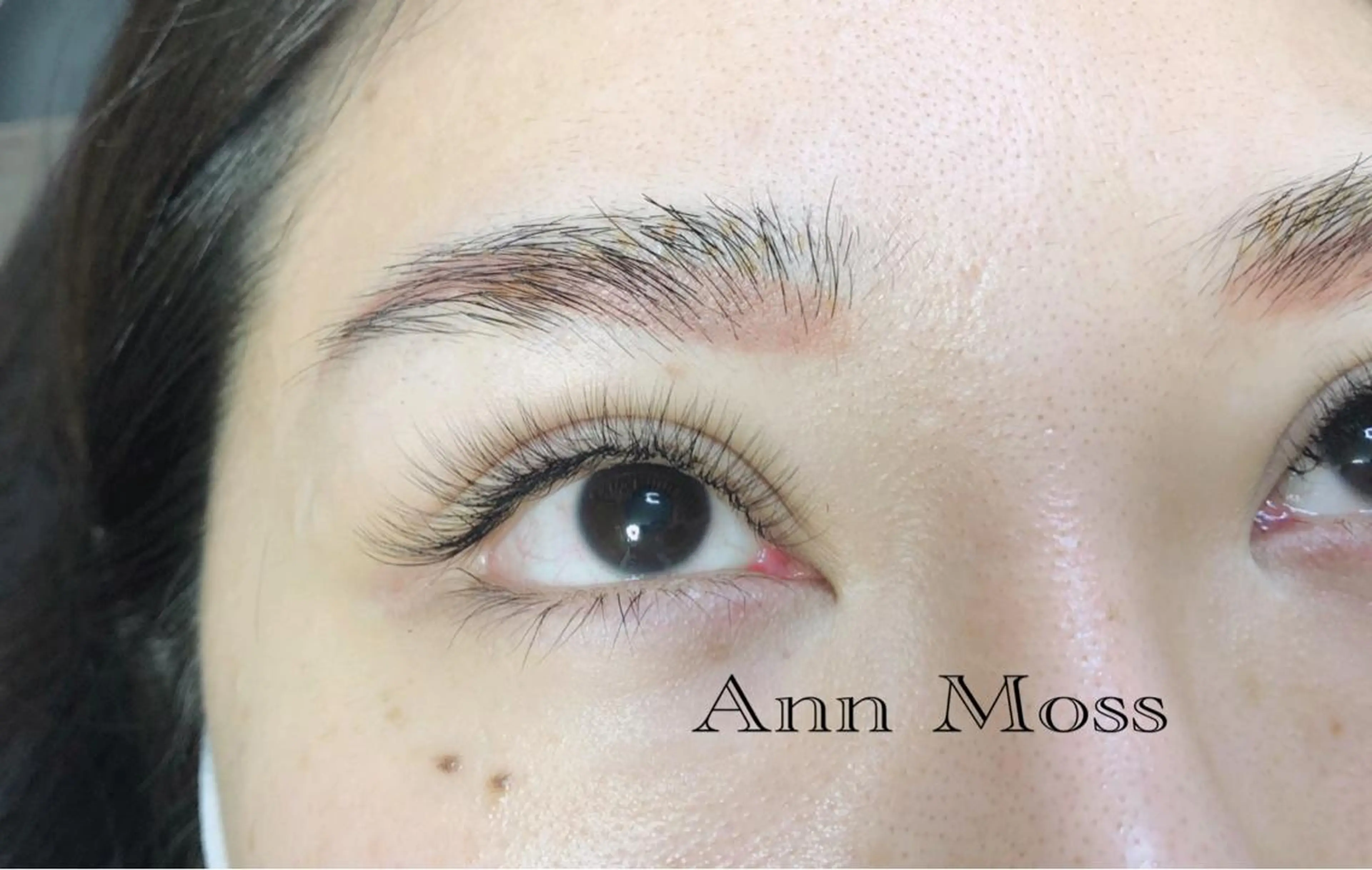 マツエク・マツパ ボリュームラッシュ 無料モデル募集中 Ann Mossのマツエク・マツパデザイン