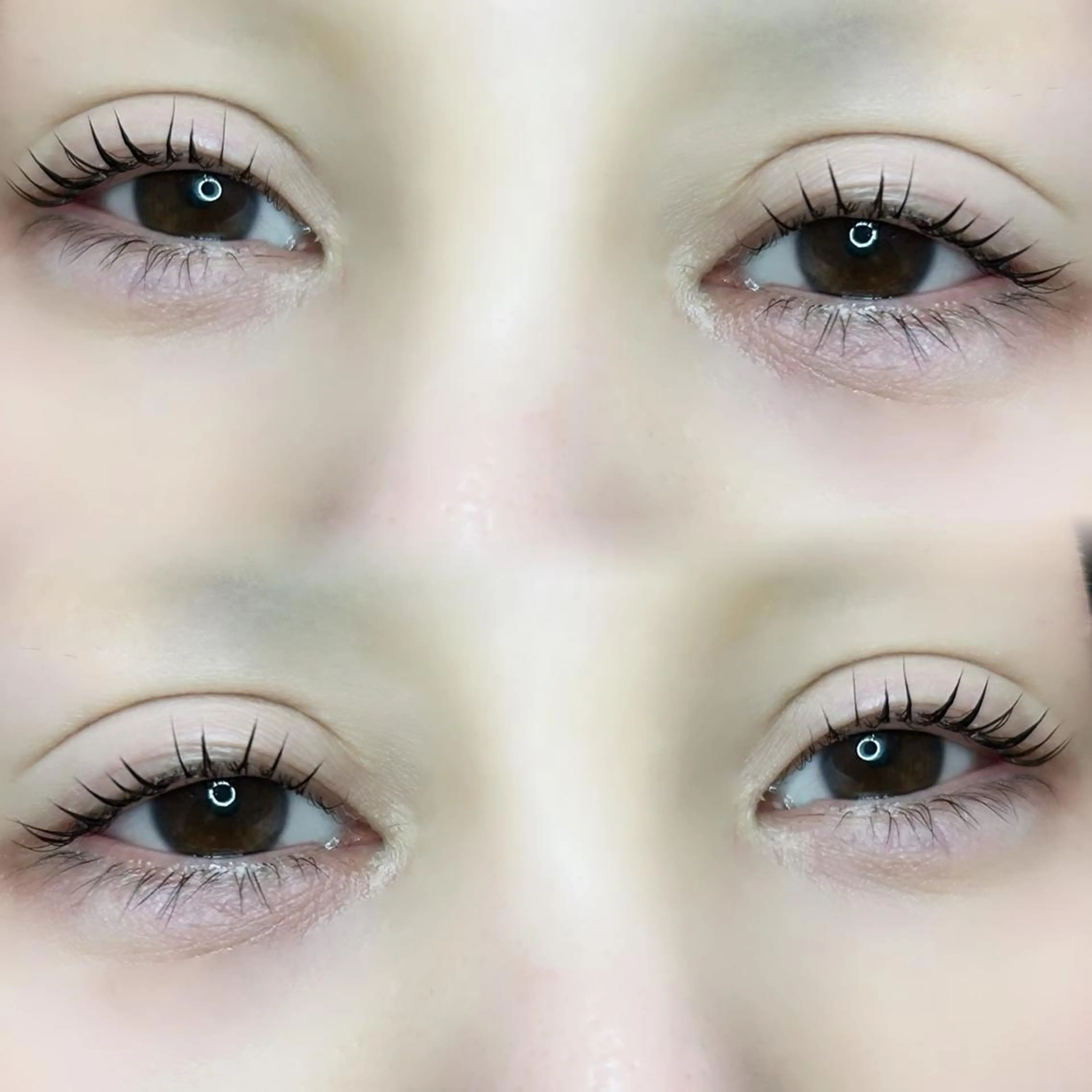 マツエク・マツパ パリジェンヌラッシュリフト 🦢✨fein. 原宿店✨🤍の眉毛・アイブロウイメージ