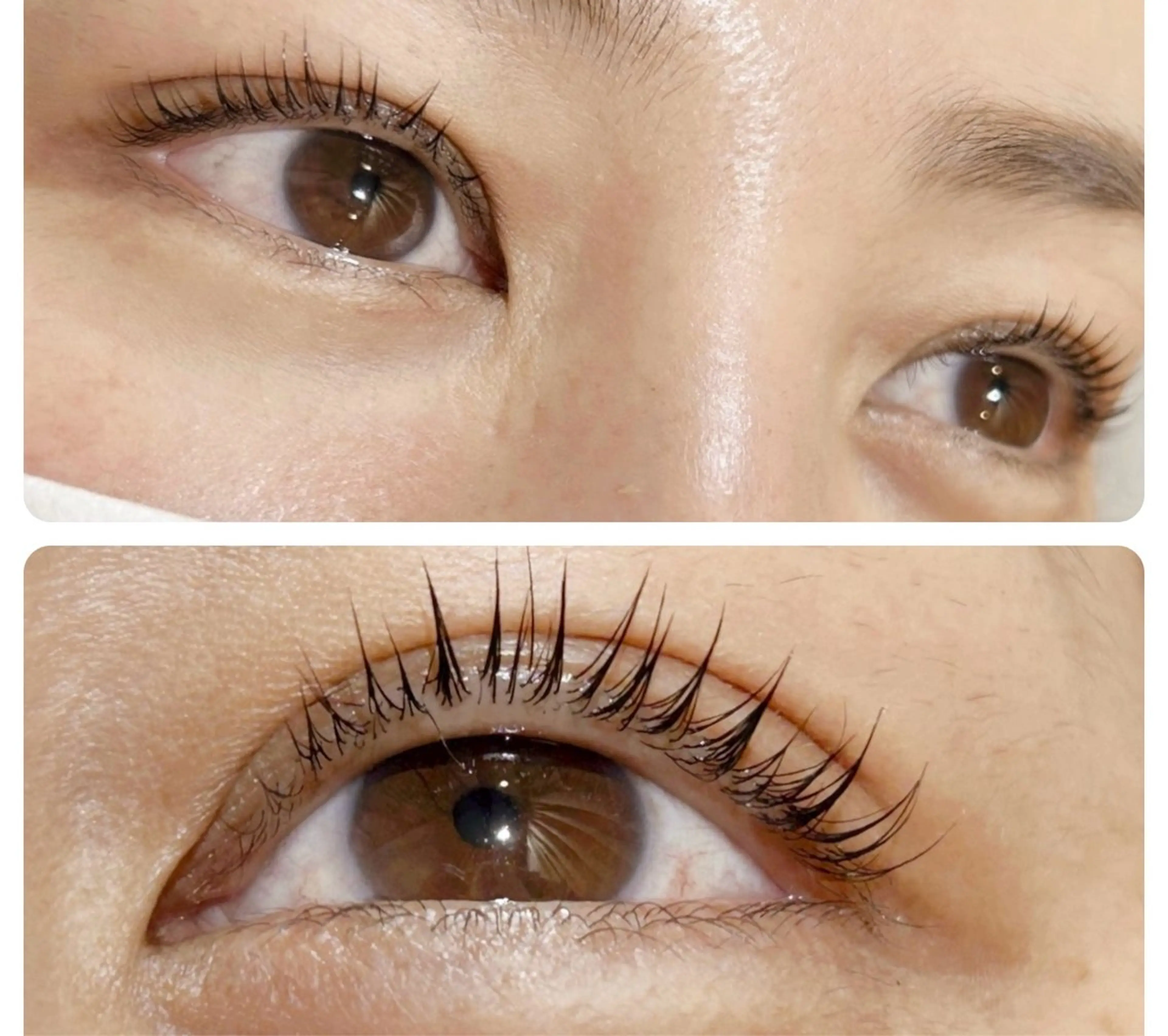 マツエク・マツパ マツパ 田中 貴子のマツエク・マツパデザイン