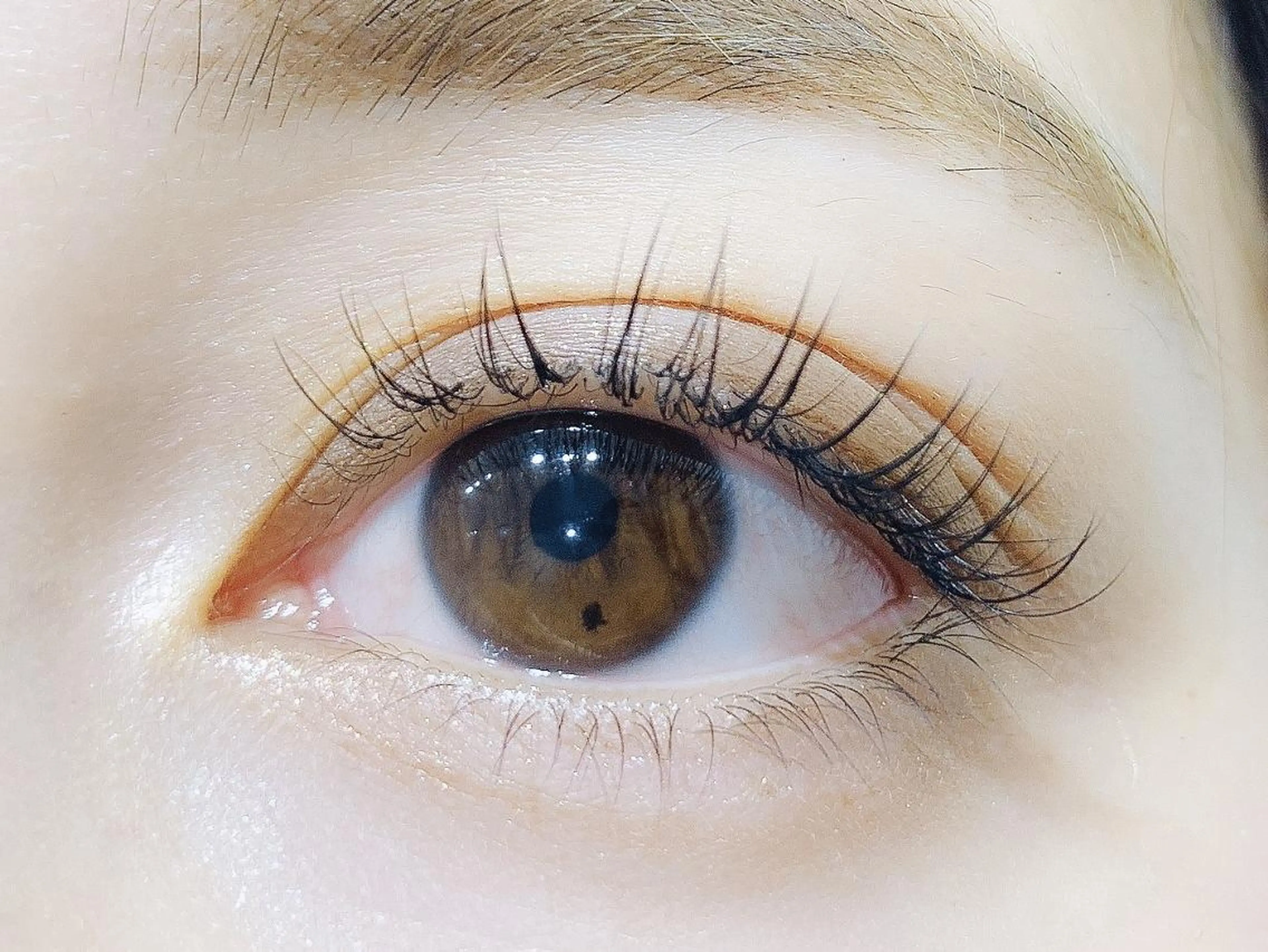 【新規】🌷セーブルエクステ　100本【練習モデル】の写真