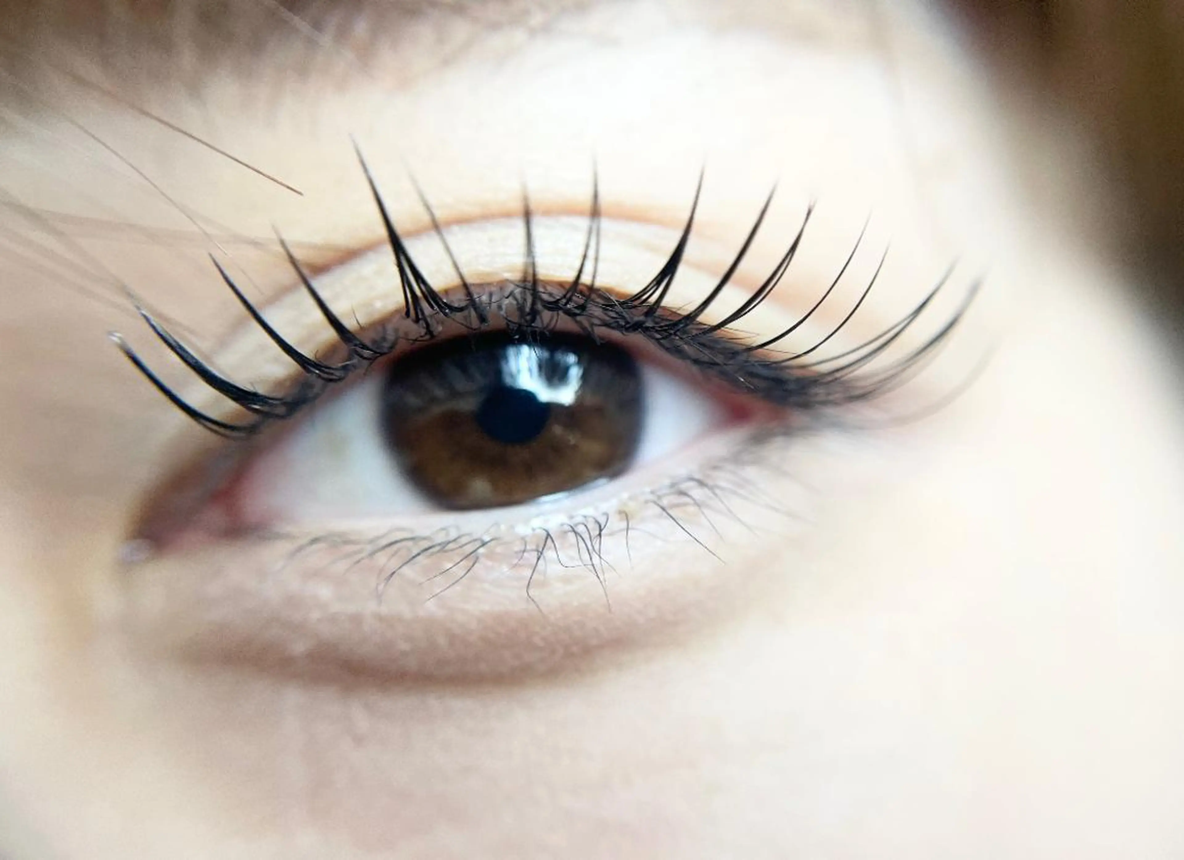 マツエク・マツパ Cカール フラットラッシュ 目尻長め マツエク moa＋eyelash by ENNAIL所属・MOAeyelash Honokaのマツエク・マツパデザイン