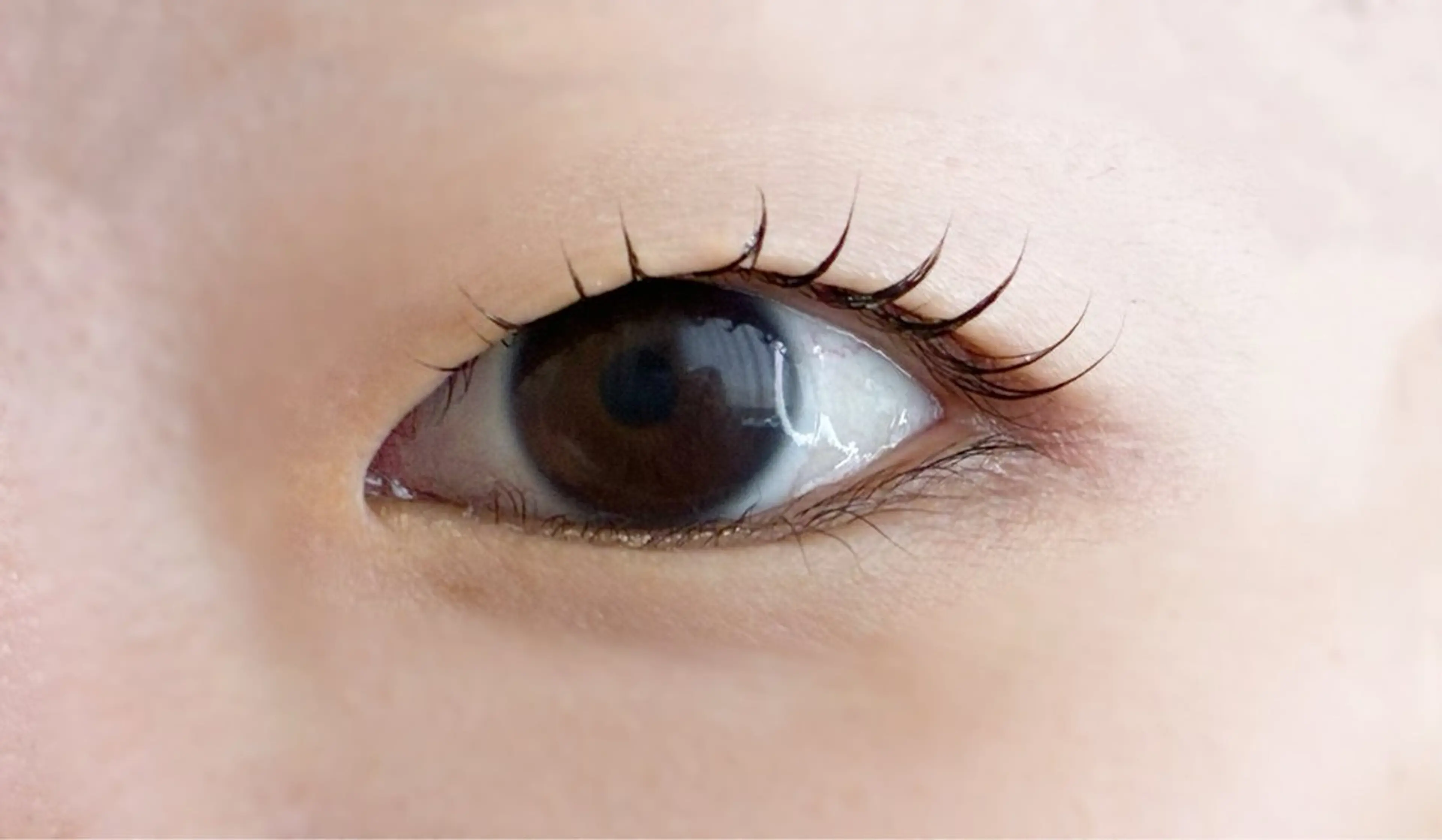 マツエク・マツパ マツパ マツエク/まつパ/ すみれのマツエク・マツパデザイン