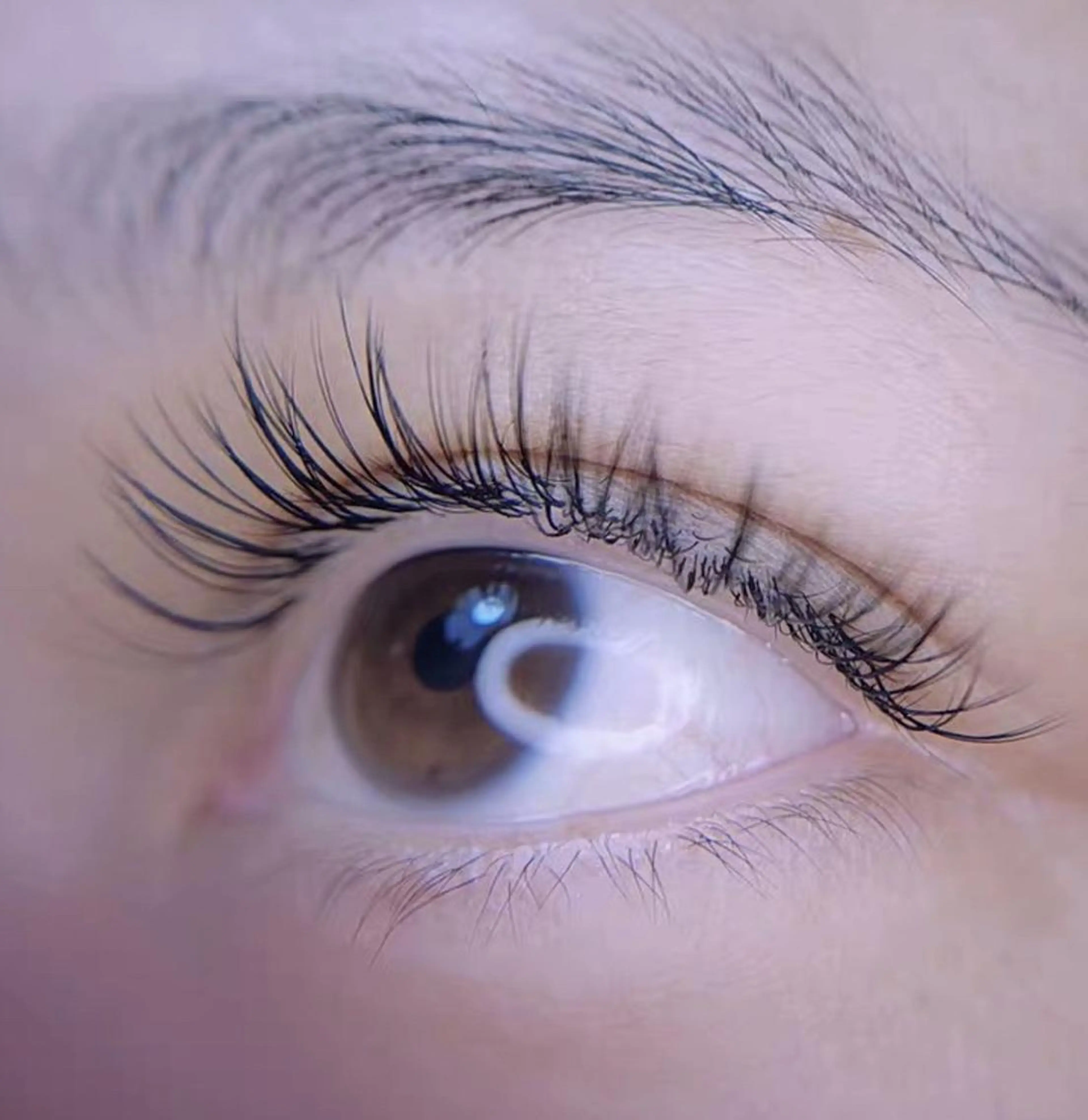 マツエク・マツパ Cute B e au t yのマツエク・マツパデザイン