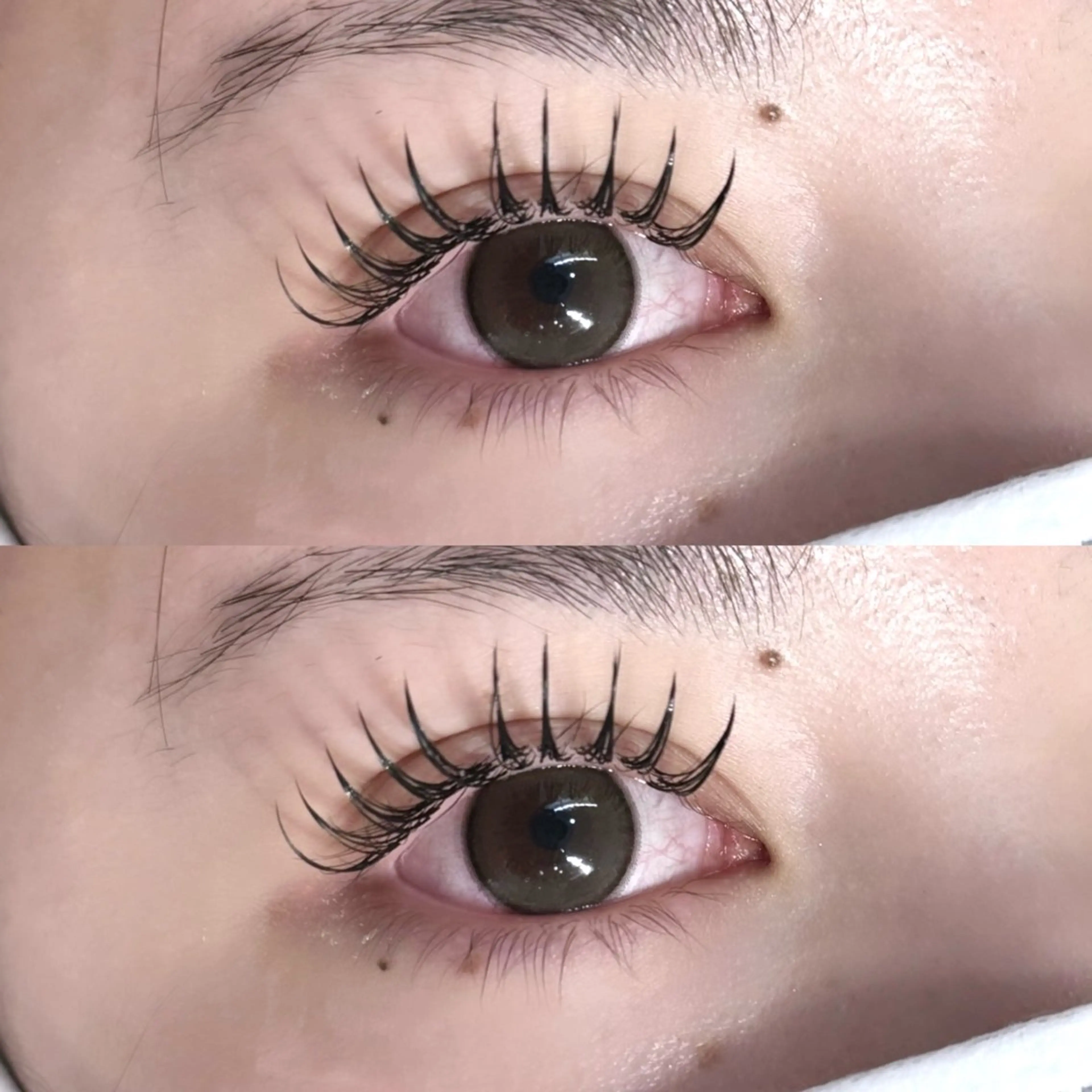 マツエク・マツパ マツエク M.O.D shibuya 道玄坂店所属・fuka 🤍のマツエク・マツパデザイン