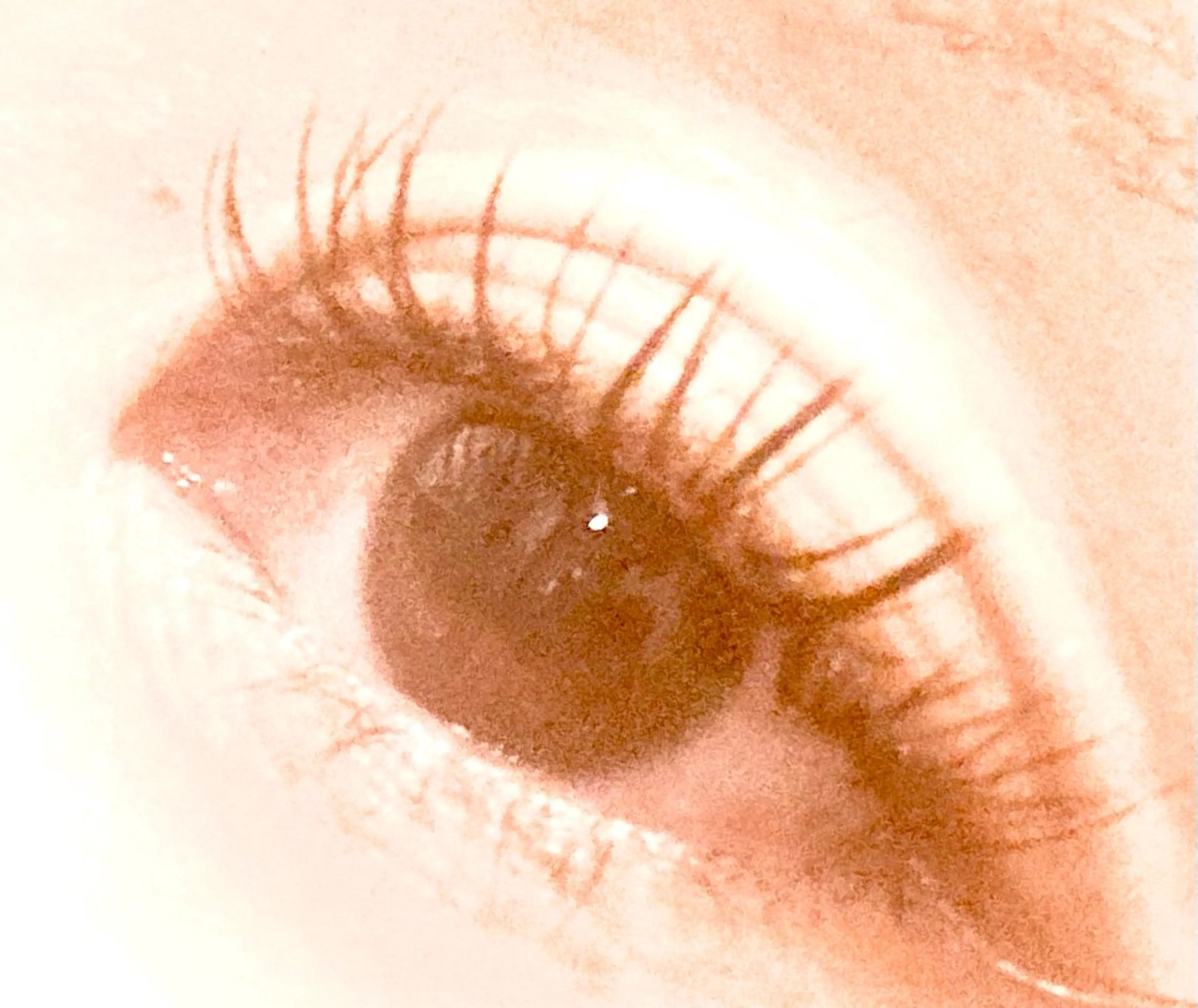 マツエク・マツパ フラットラッシュ M y lash 緑井店　宮本のマツエク・マツパデザイン