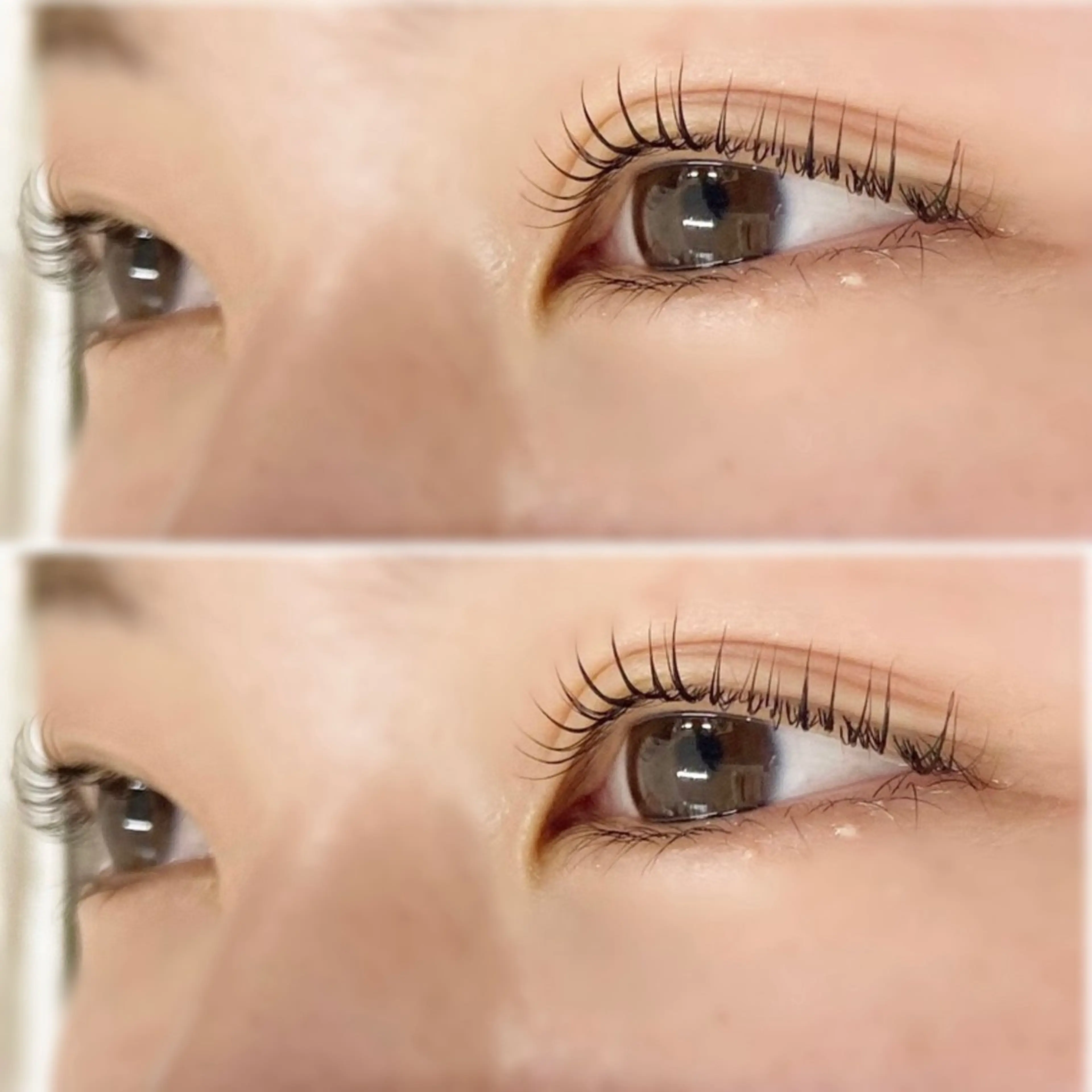 パーマ マツパ Re Eyes【リアイズ】所属・Re Eyes倉敷/ マツエク/マツパのマツエク・マツパデザイン