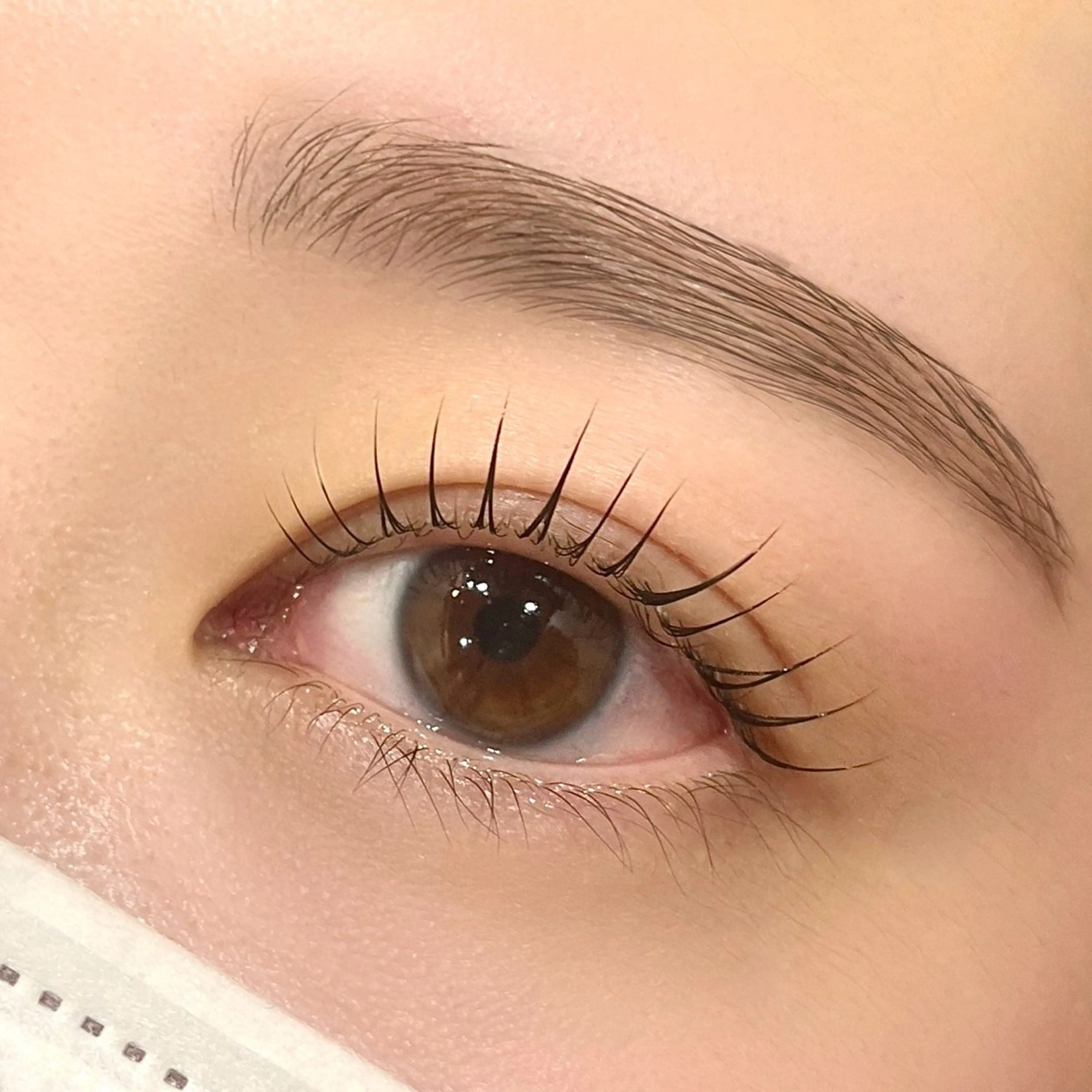 🎀パリジェンヌ/まつげパーマ🎀の写真