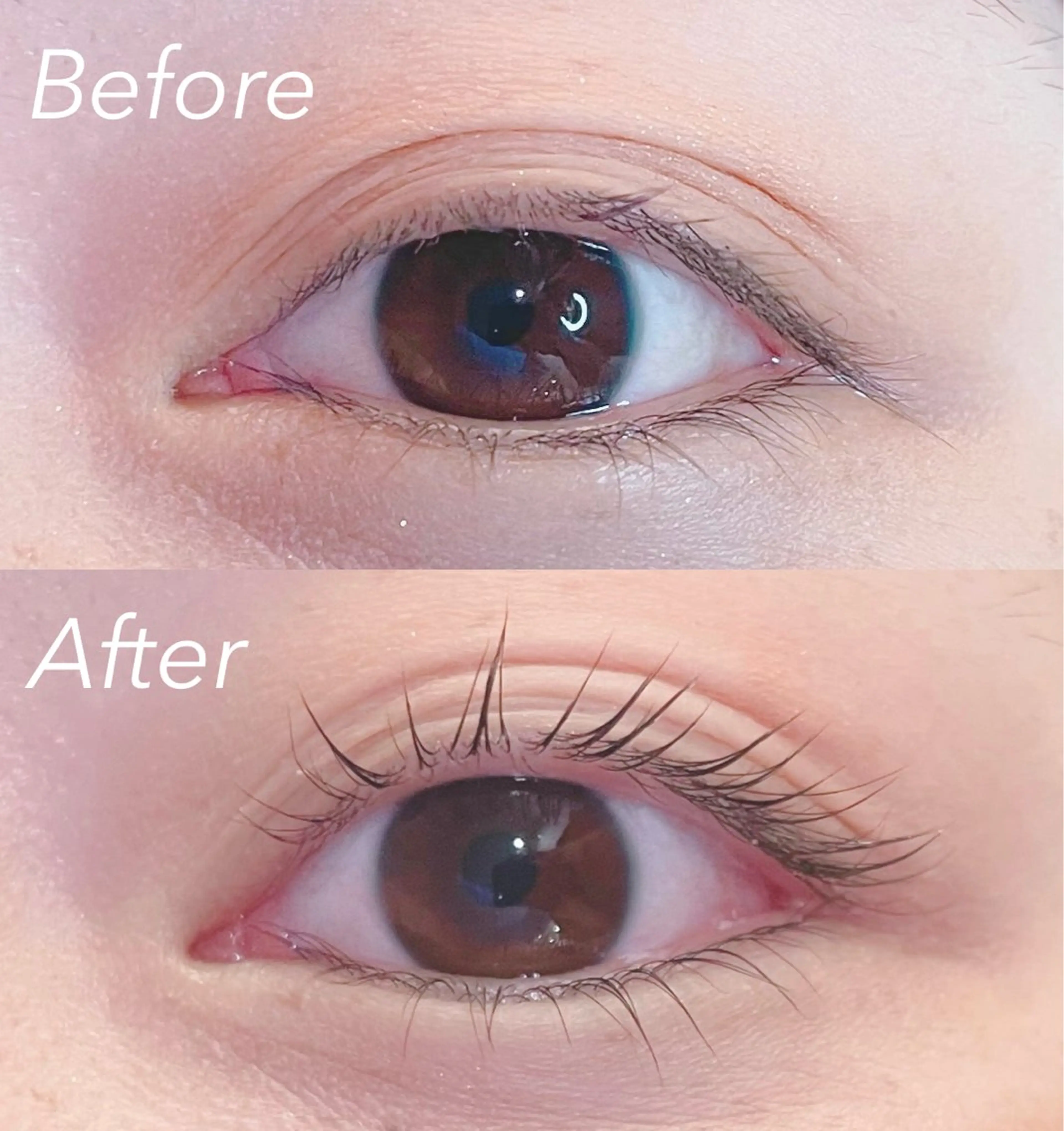 🫧上下まつ毛パーマ＋アイシャンプー🫧美容液コーティング付き🫧の写真