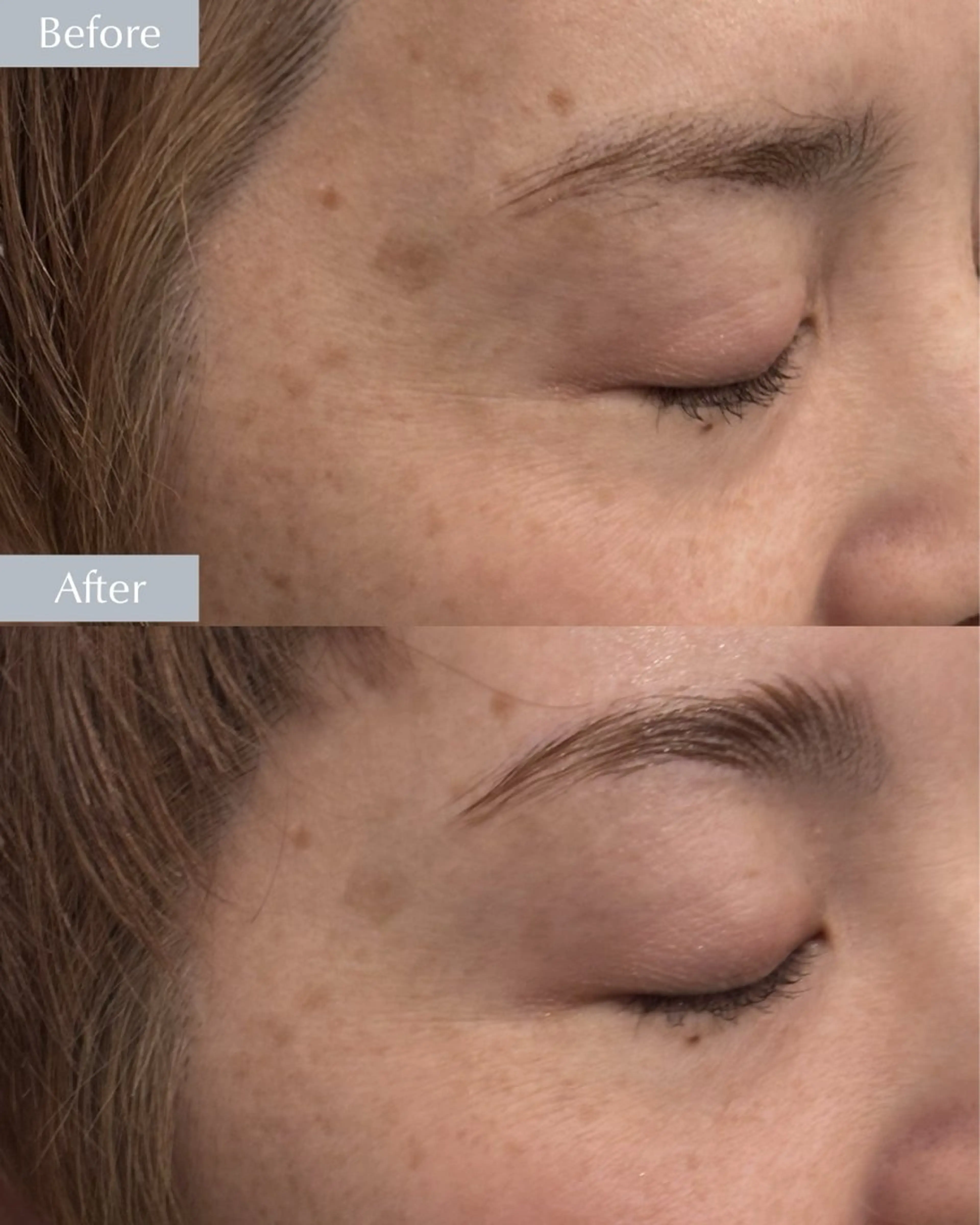 アイブロウ 高橋 聡美の眉毛・アイブロウイメージ