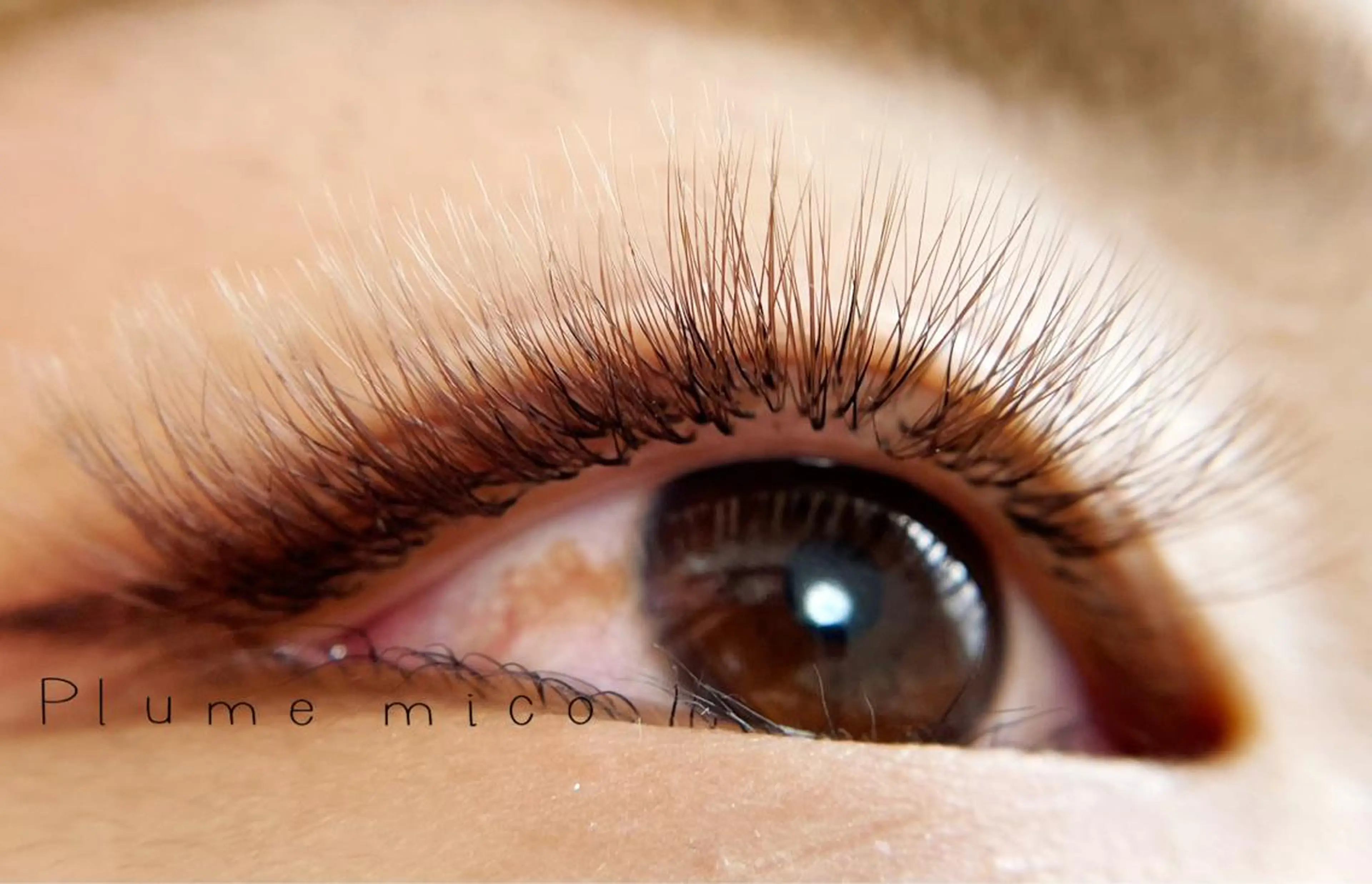 マツエク・マツパ マツエク Plume micoのマツエク・マツパデザイン