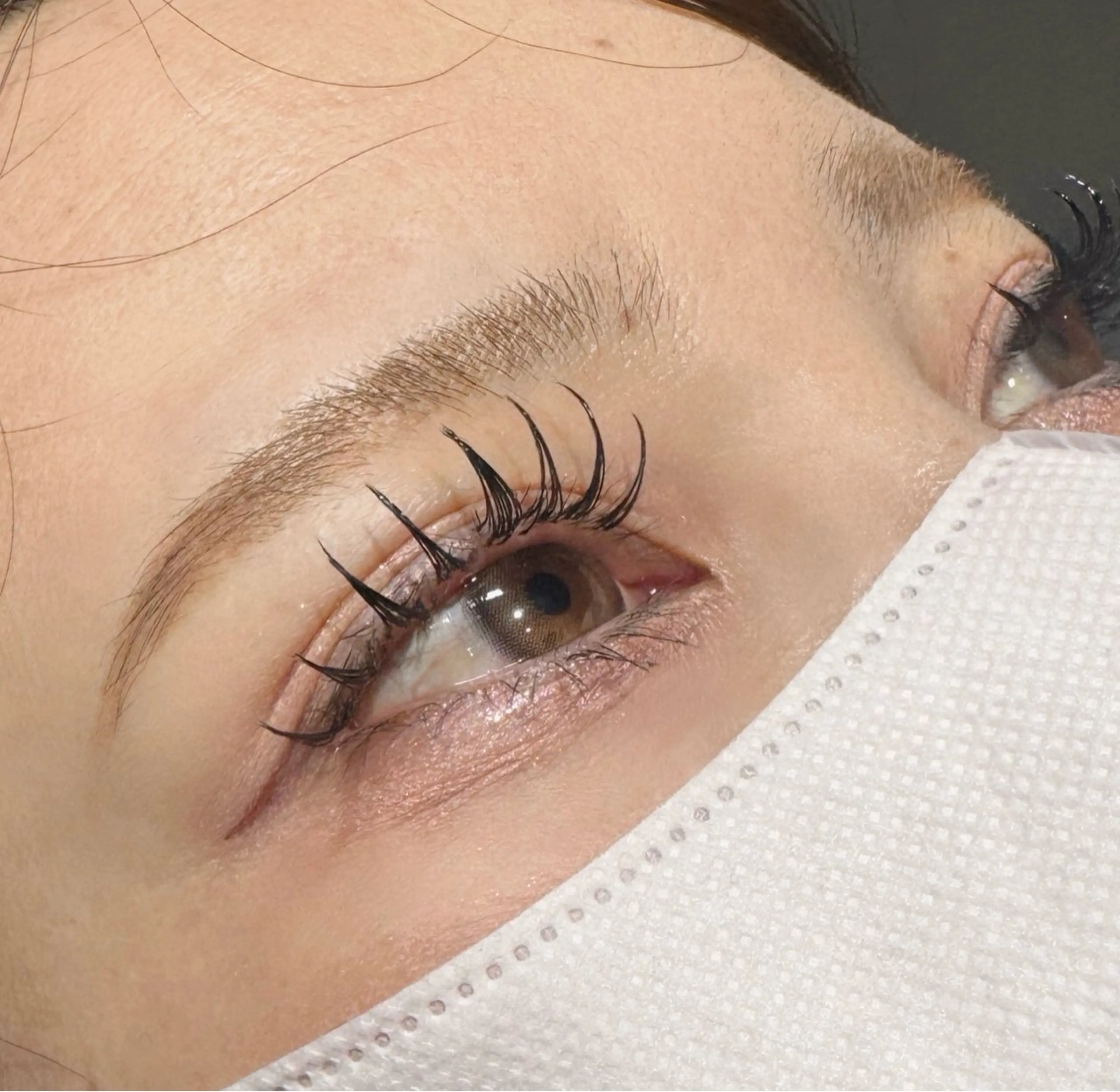 【オフ込み】フラットラッシュ120本の写真