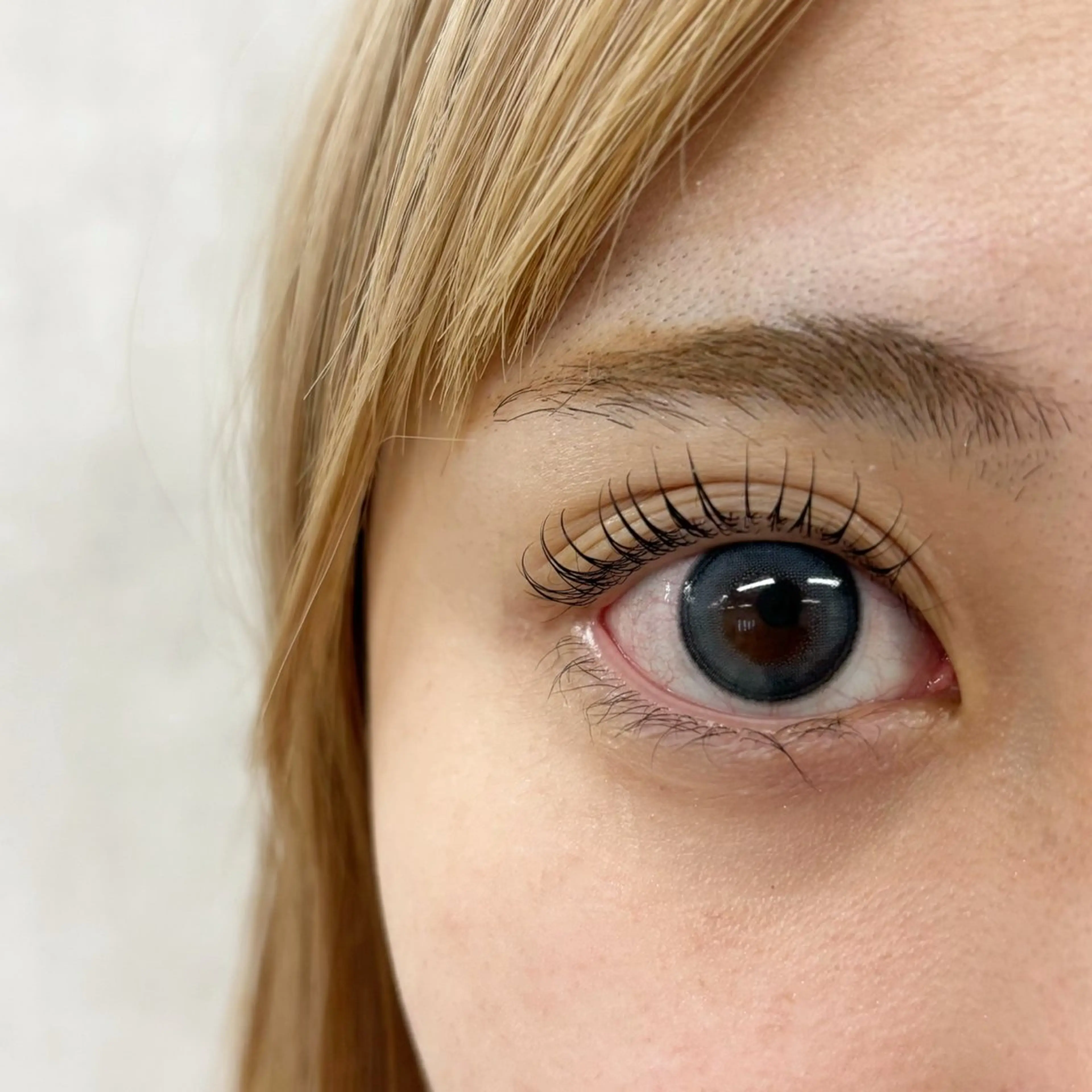 マツエク・マツパ covo eyelash所属・covo 🐻のマツエク・マツパデザイン