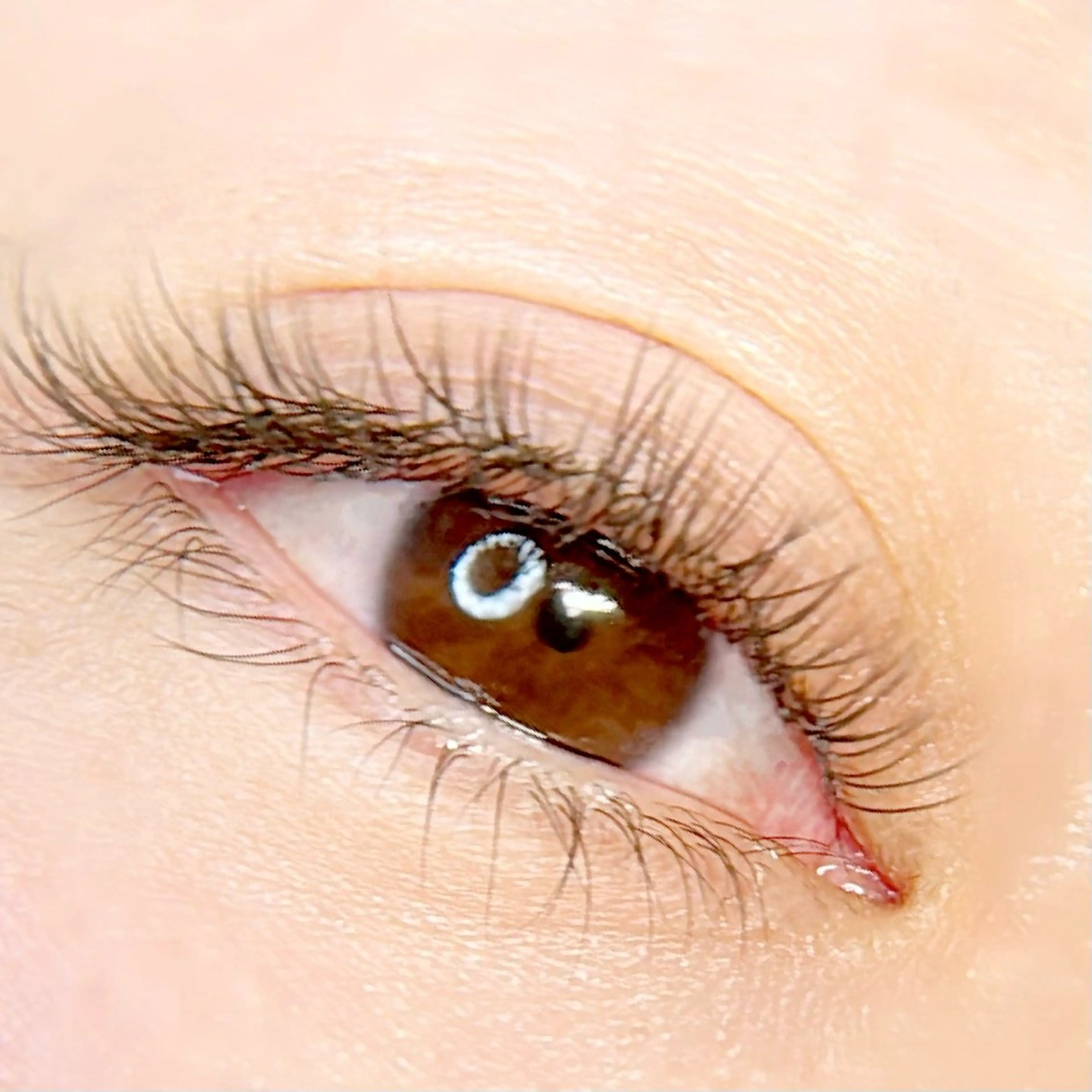 【LEDエクステ】フラットラッシュ100本​〜​（他店オフ無料）【20本追加＋¥500】の写真