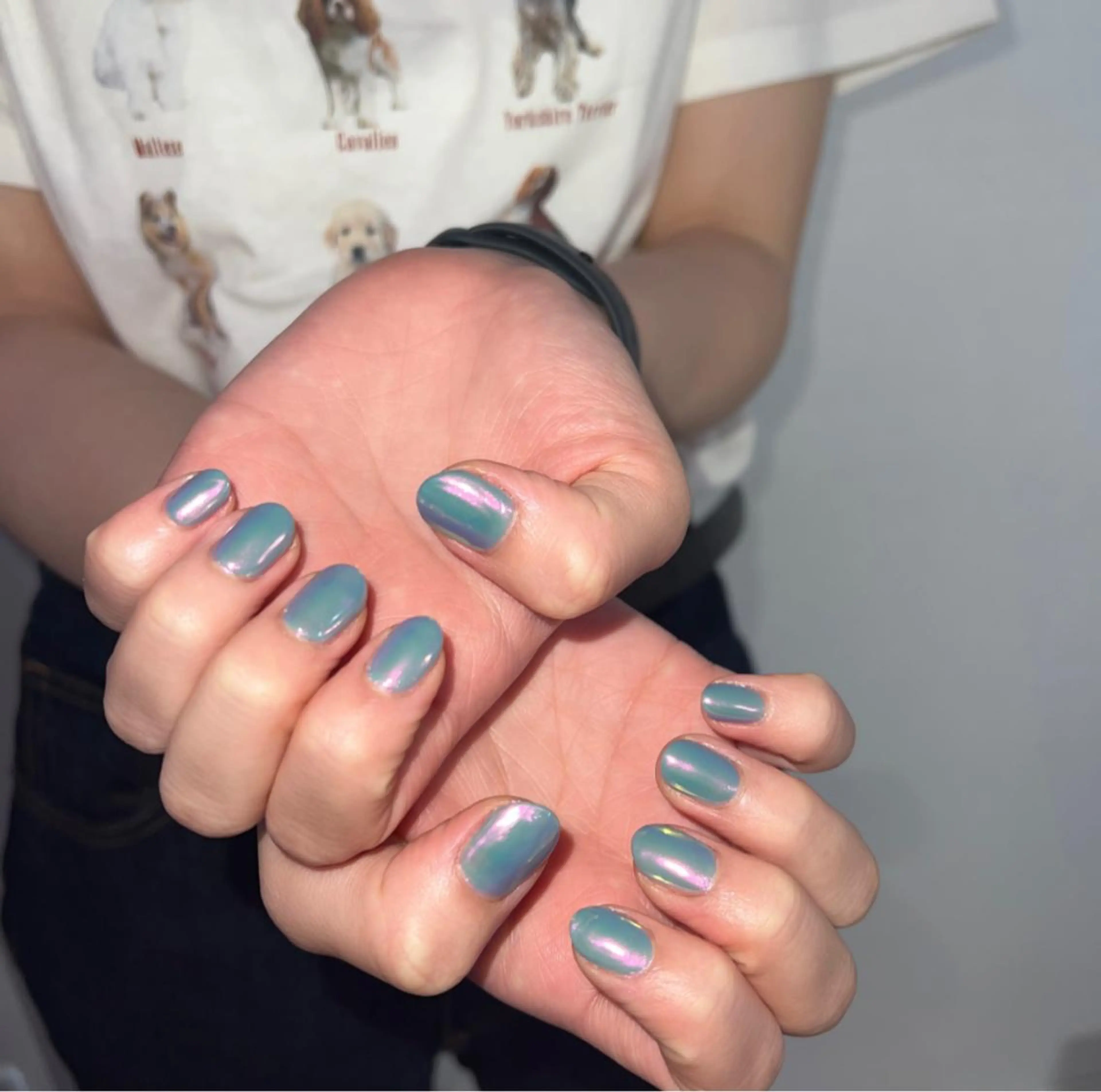 ネイル オーロラネイル フレンチネイル マグネットネイル ミラーネイル ワンカラーネイル LeaLea nails.のネイルデザイン