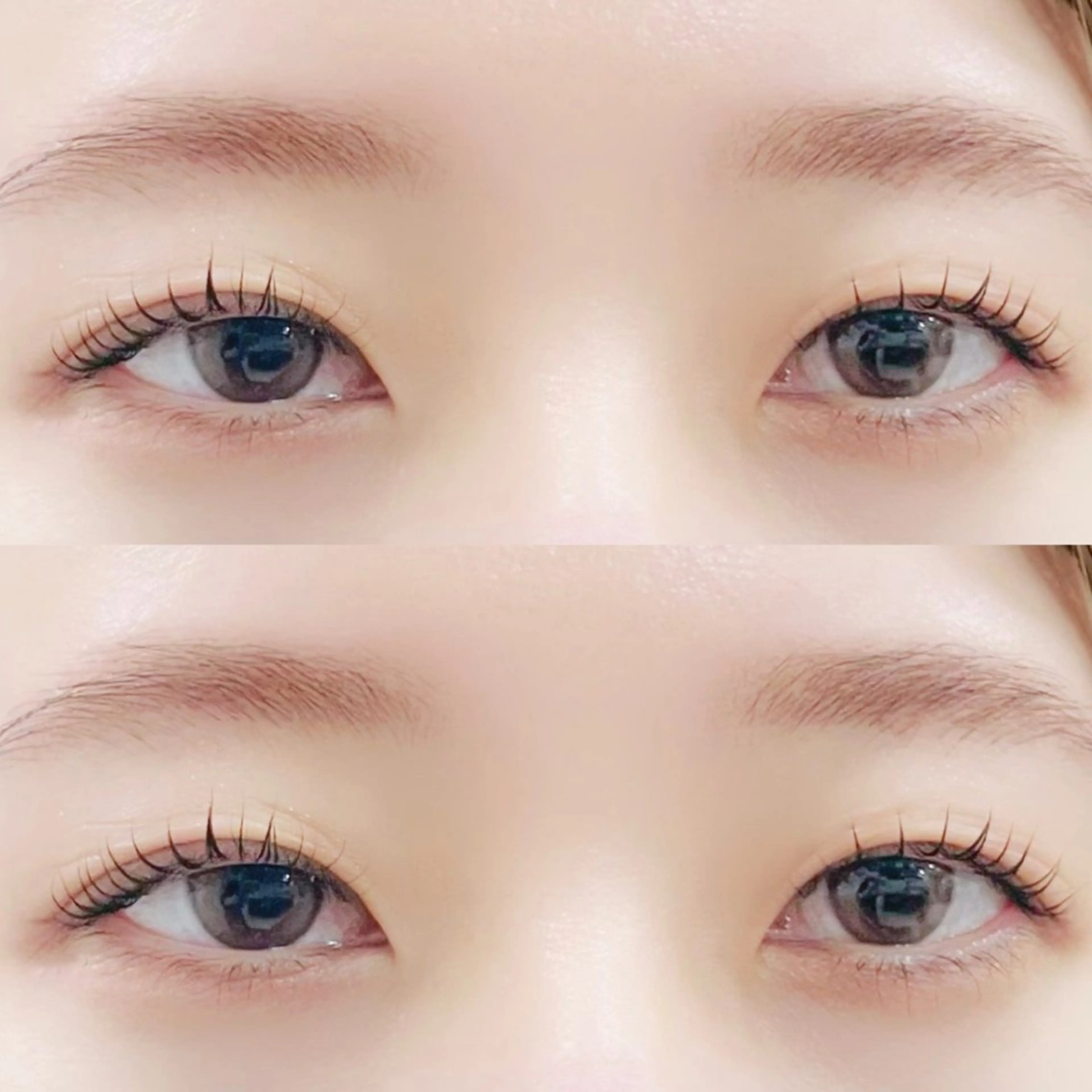 〖 ✧お得キャンペーン✧ 〗眉毛WAX＋ラッシュリフト上のみ…束感コーティング付✨の写真