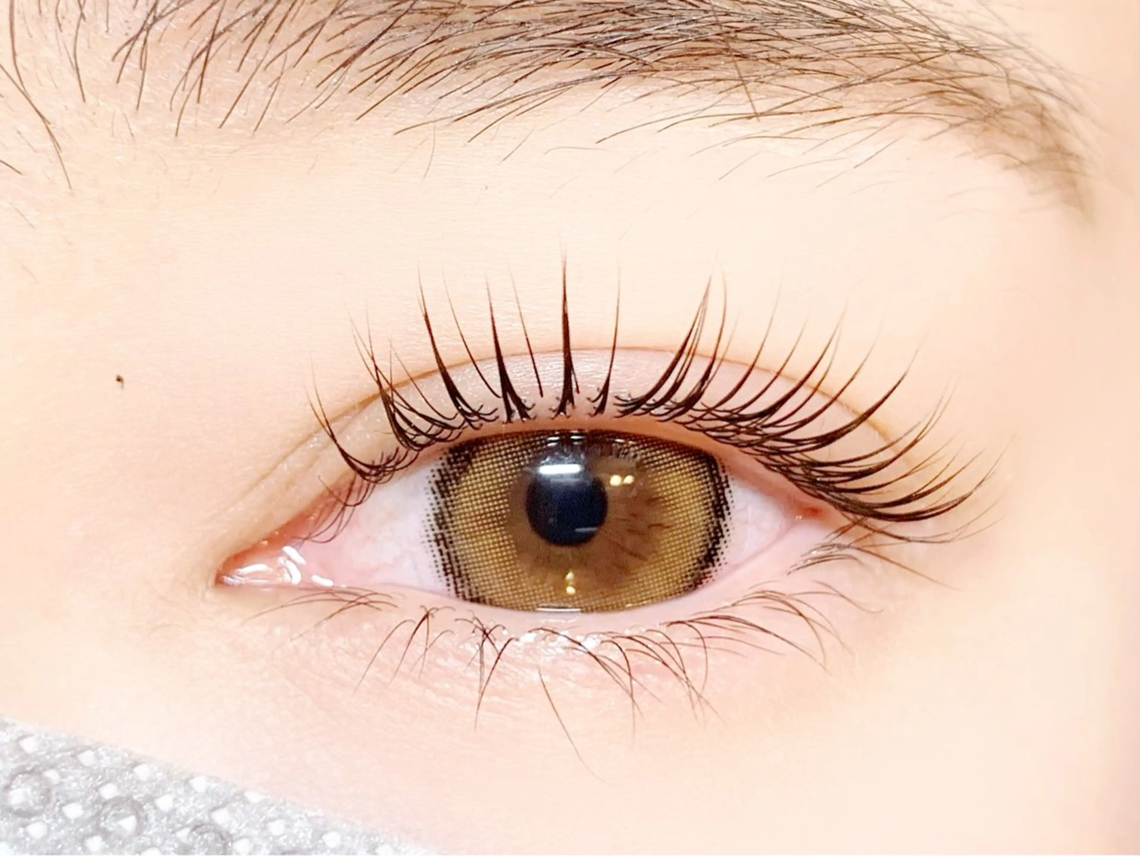 LEDエクステ120本6000/ご新規様オフ込み🌷コーティングTR付/顧客様オフ別途料金の写真