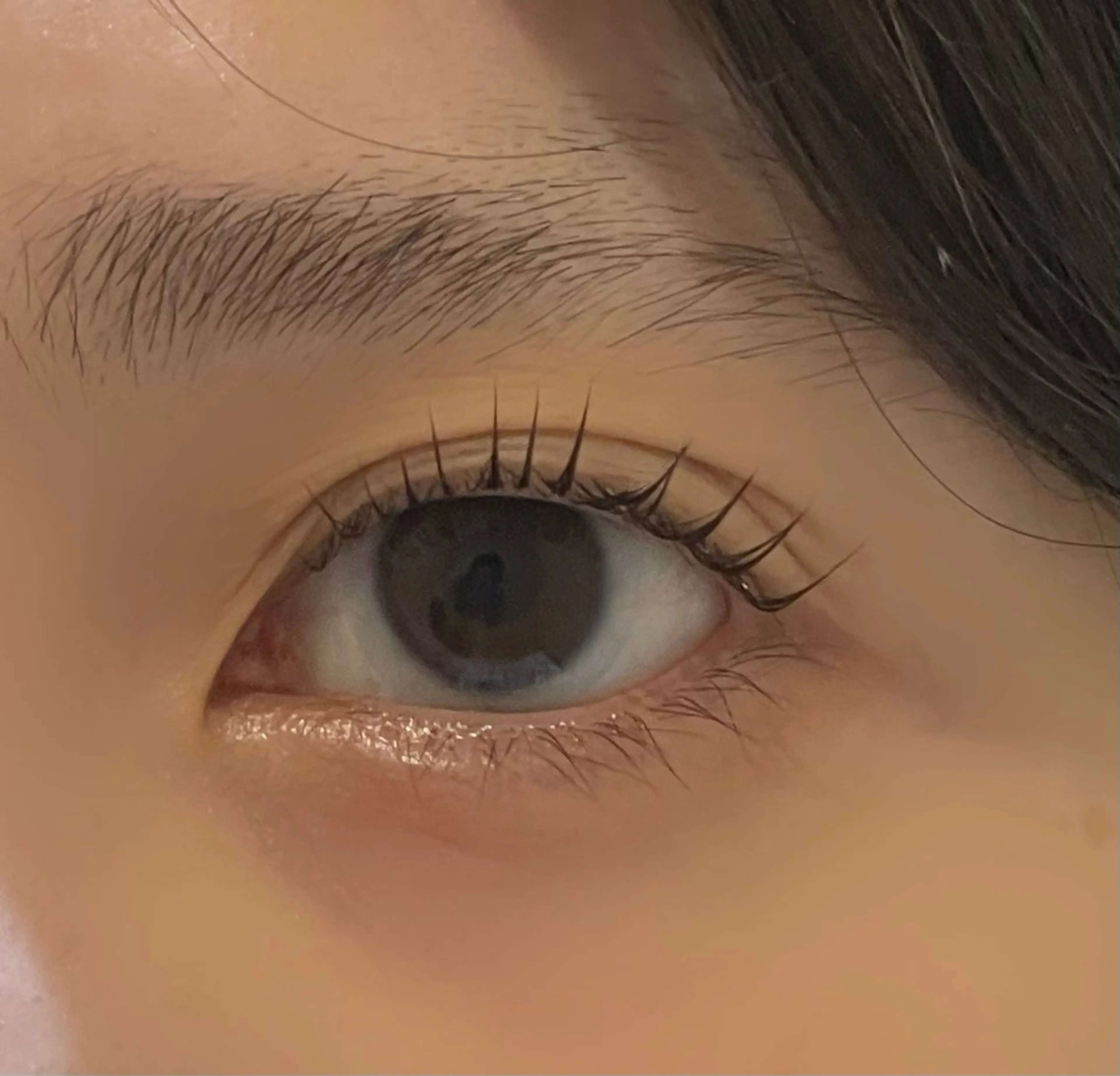 マツエク・マツパ Noa 上野の眉毛・アイブロウイメージ