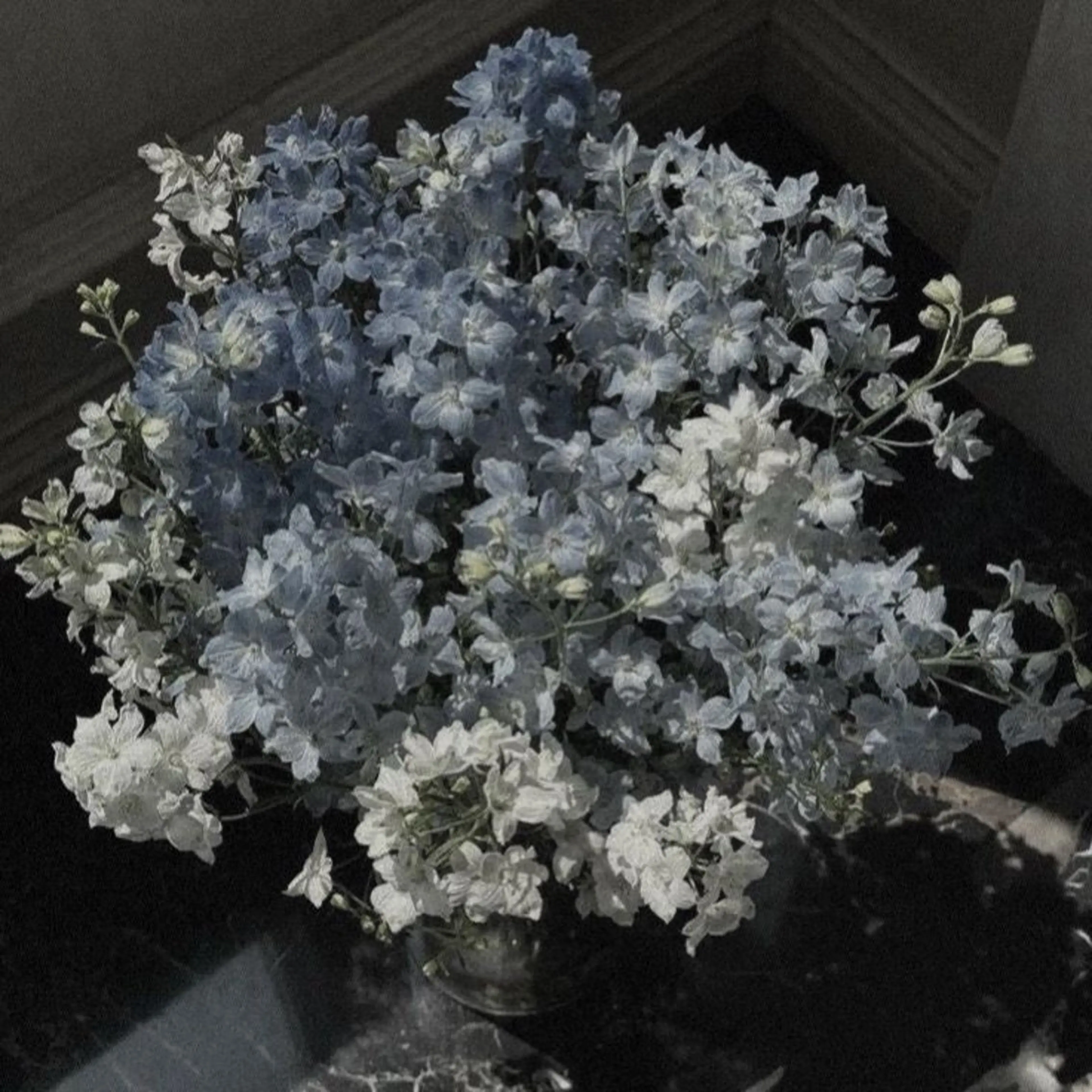 マツエク・マツパ Silk by Bianca 柳🐕のマツエク・マツパデザイン