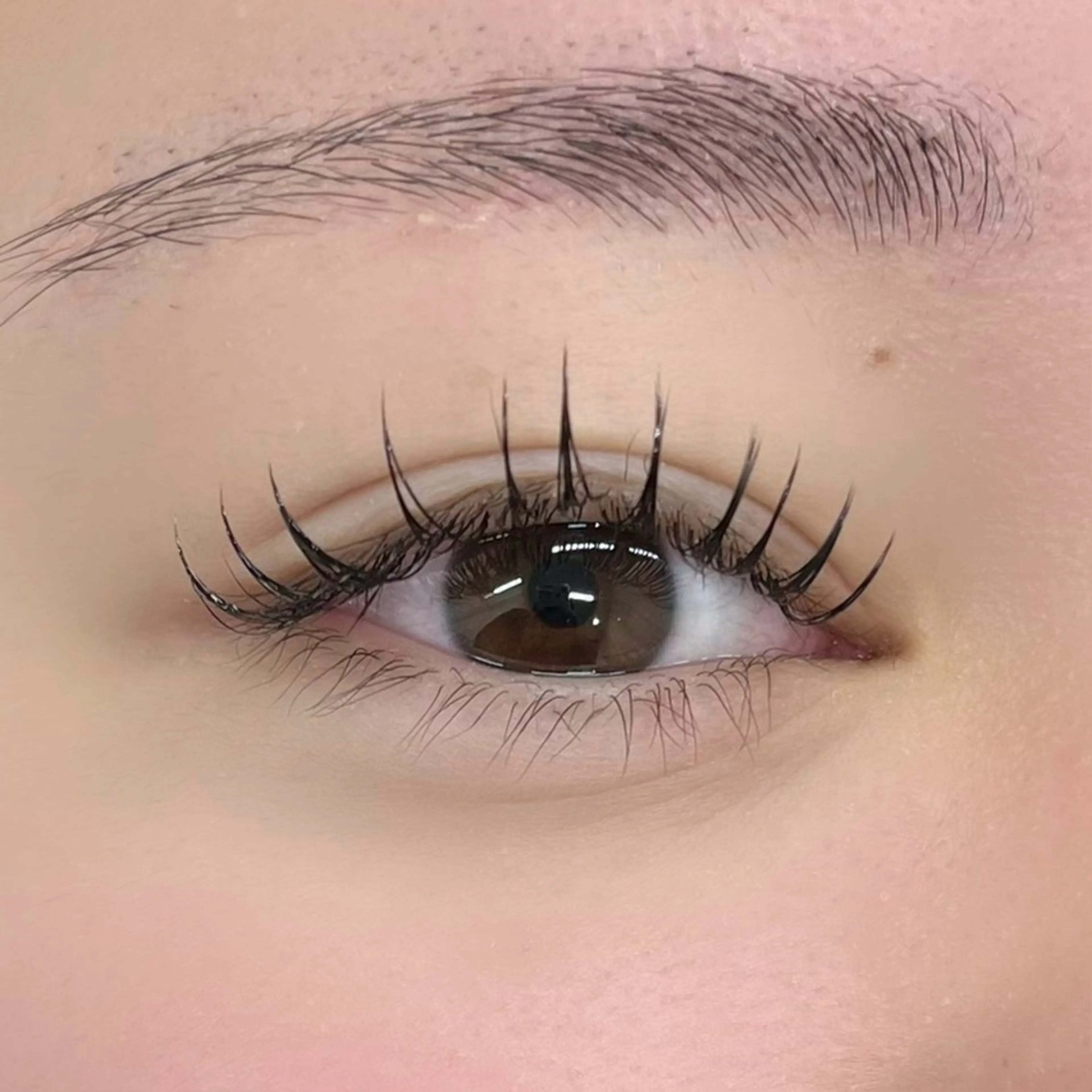 マツエク・マツパ Eden Eyelashのマツエク・マツパデザイン