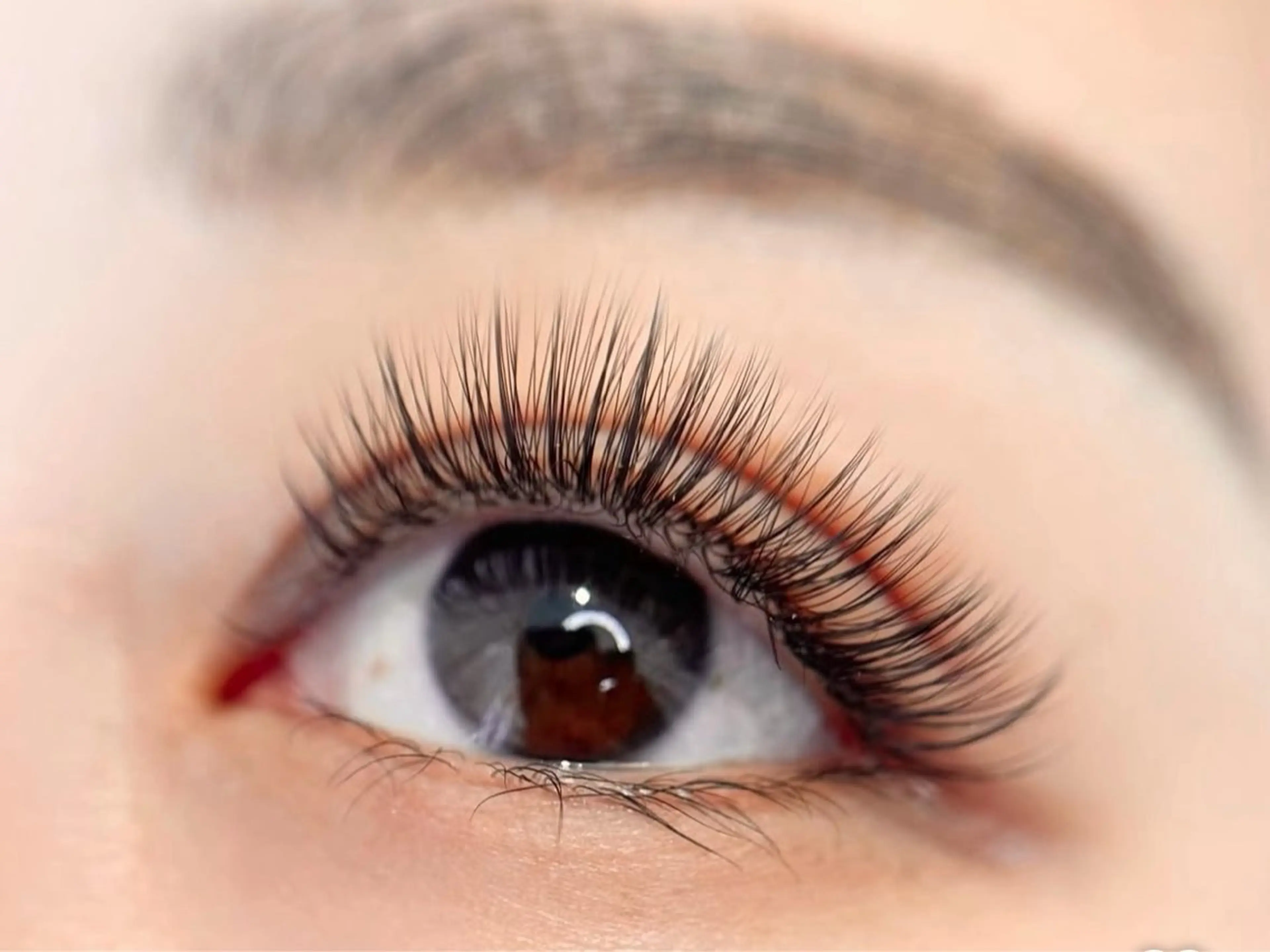 【オフ無料】🌟ダブルフラットラッシュ100束 (アイパック+コーディング込み)の写真