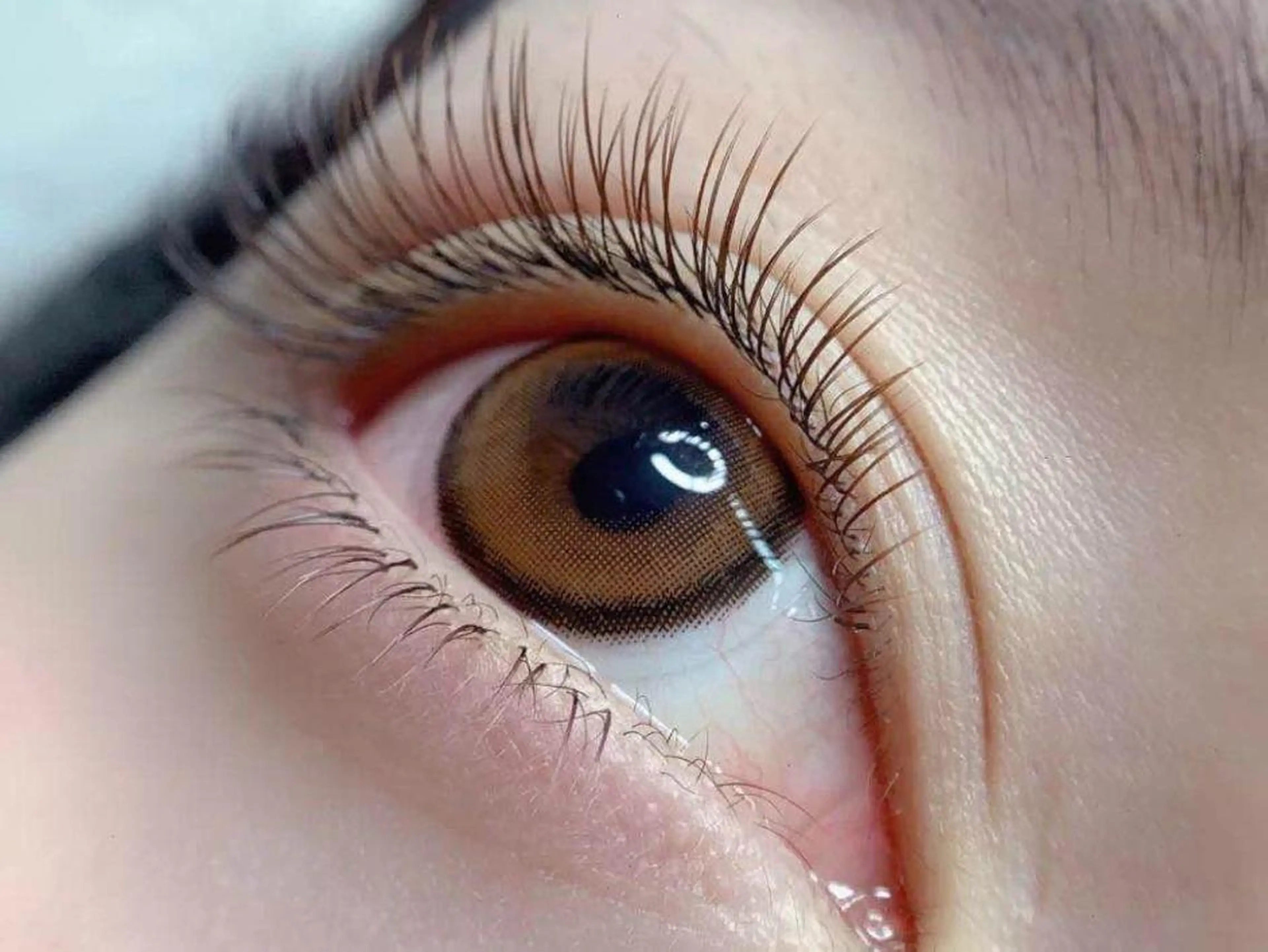 ナチュラルぱっちり🍊🍎オールブラウン 120本の写真