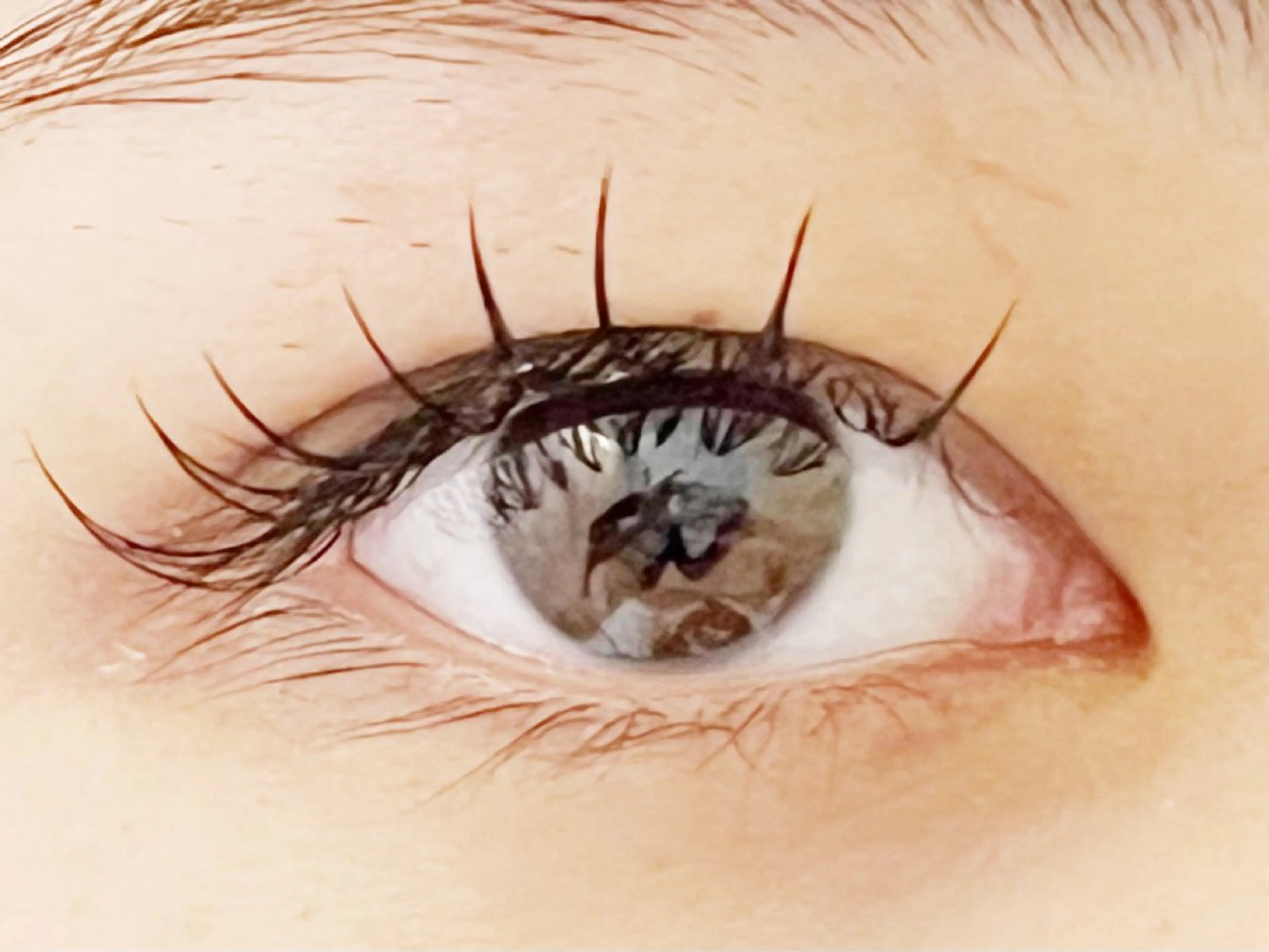 マツエク・マツパ ECHIRE 高橋のマツエク・マツパデザイン