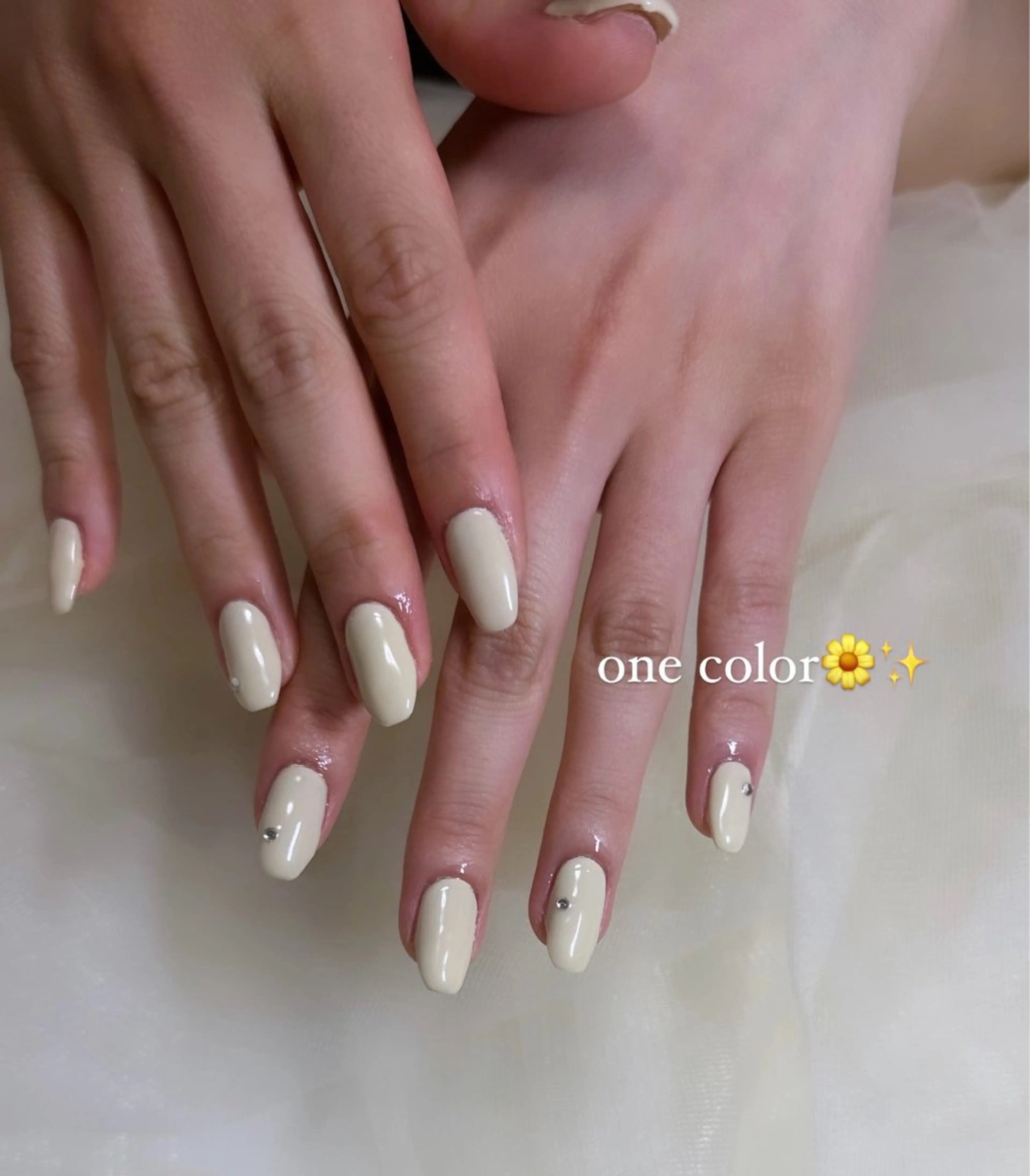 ワンカラー　(ご新規様オフ込み&他店オフあり)の写真