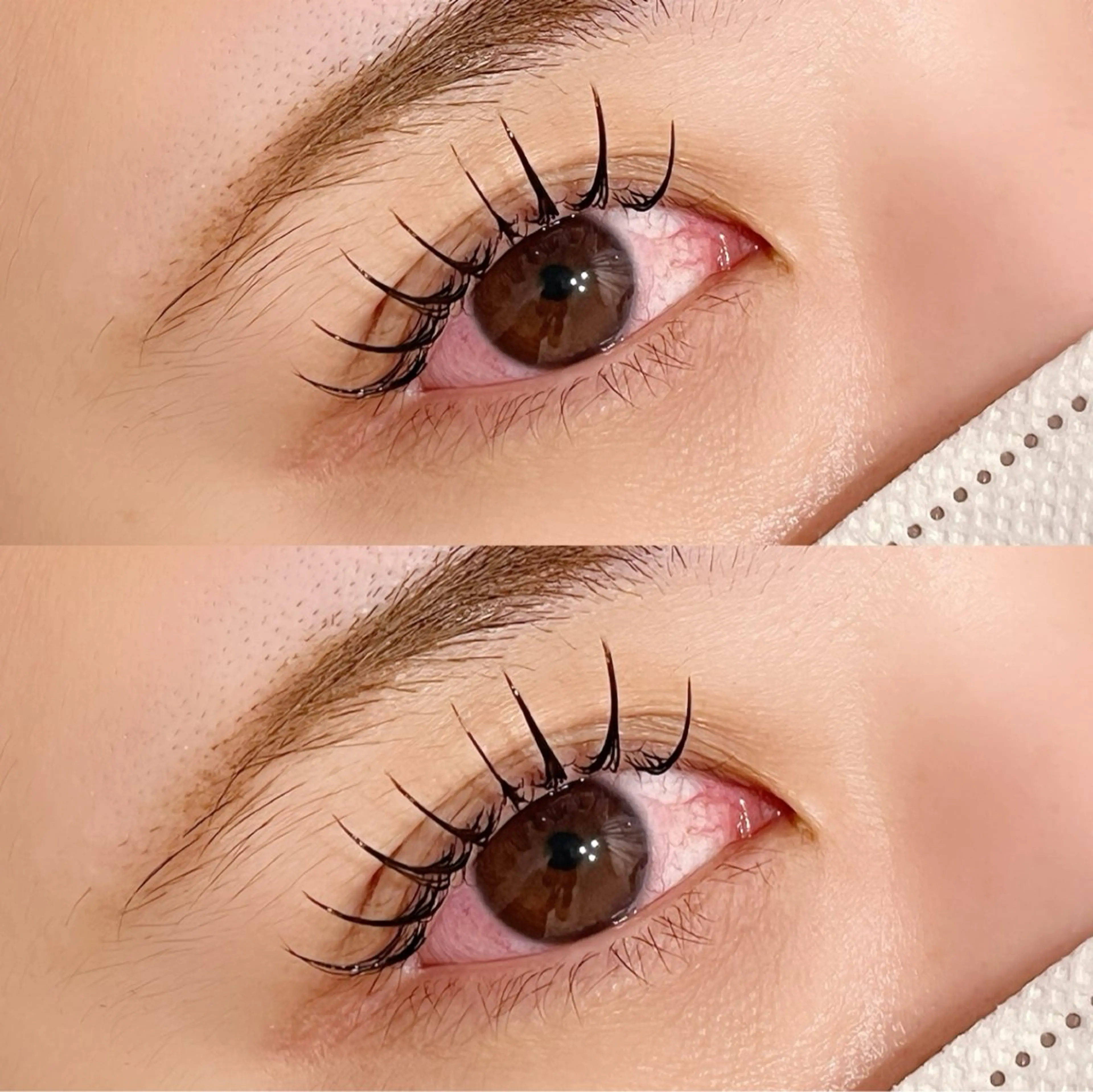 マツエク・マツパ マツエク Lumina Fuyumiのマツエク・マツパデザイン