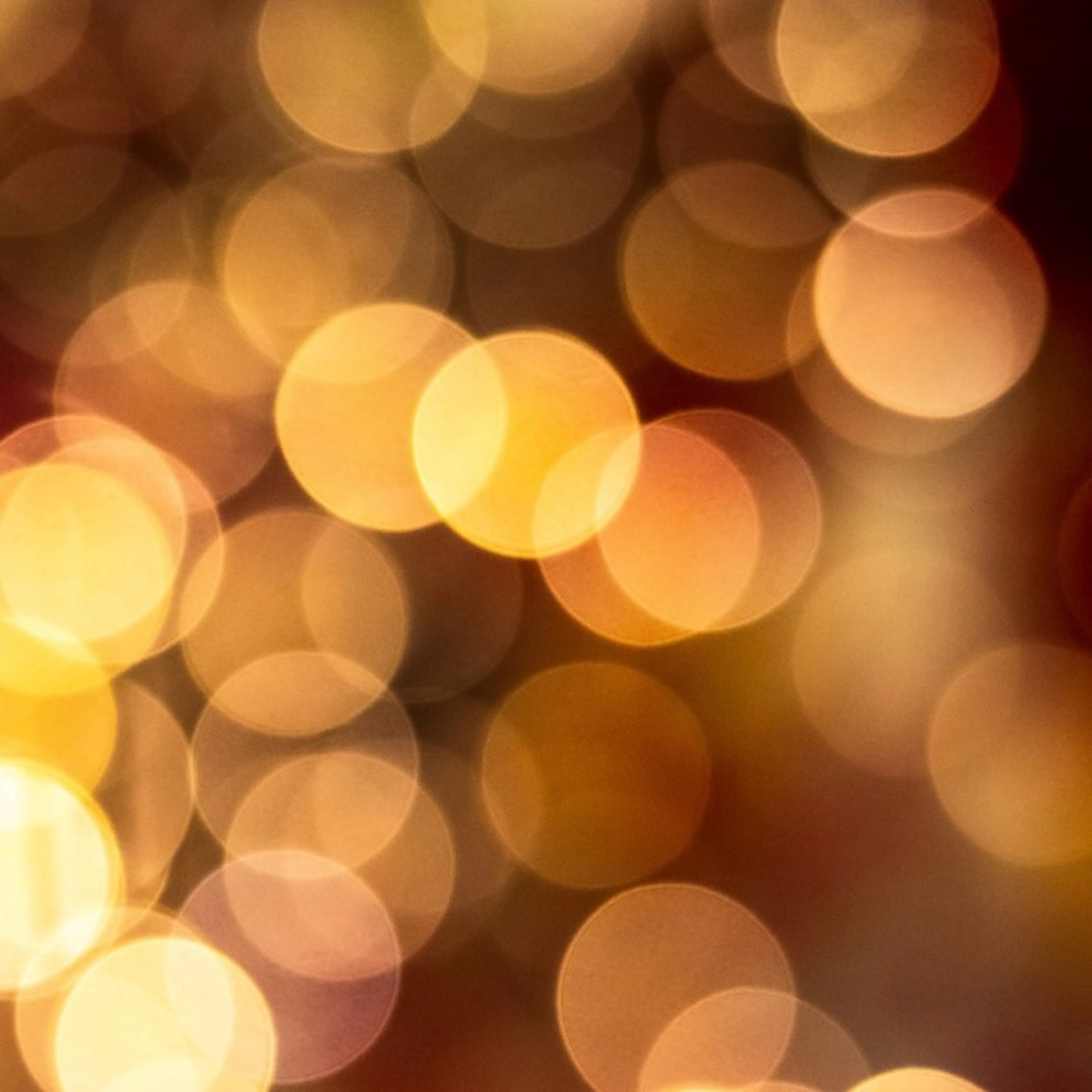 【8:30】​〜​🩵ワンカラー🩵ソフトジェルオフ+¥500の写真