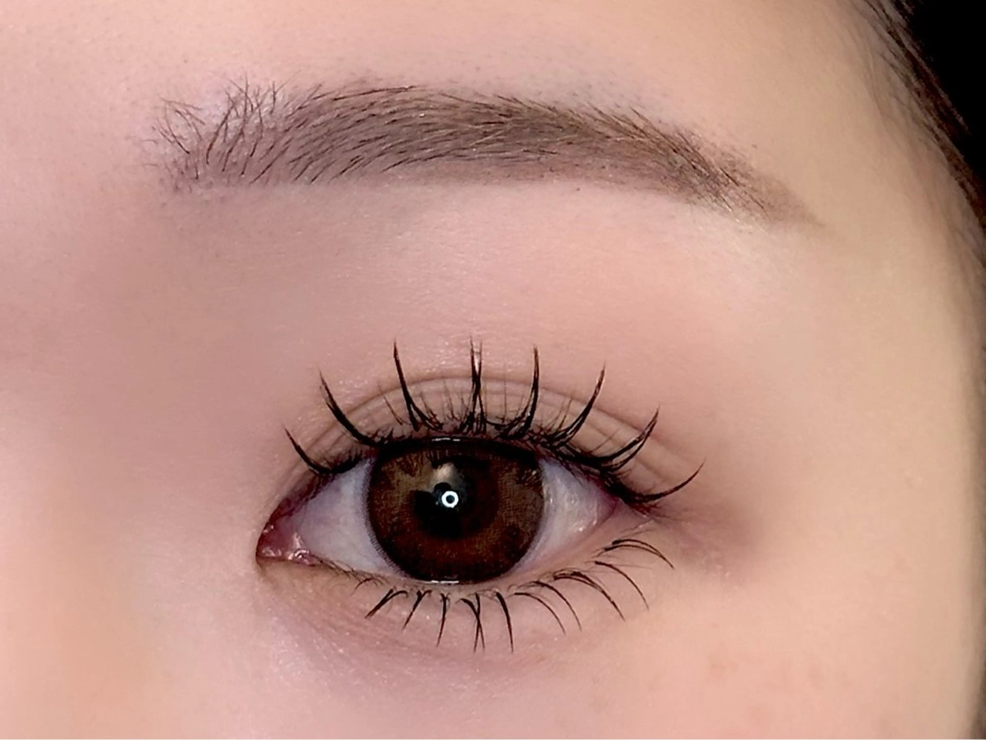 【minimo限定】フラットラッシュ100本🌼下まつげ30本の写真